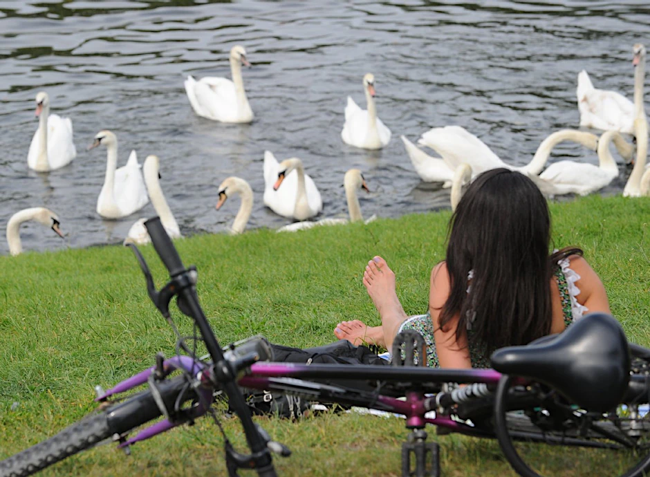 Diese junge Frau sonnt sich in Berlin am Planufer in Kreuzberg auf einer Wiese am Ufer der Spree. Diese Bild ist charakteristisch für den Mai - jedenfalls für die erste Hälfte.