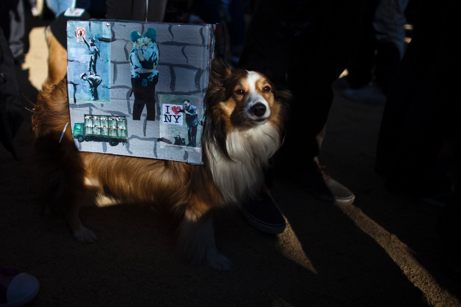 Banksy-Anhänger haben sogar ihren Hund mit entsprechenden Fanartikeln dekoriert.