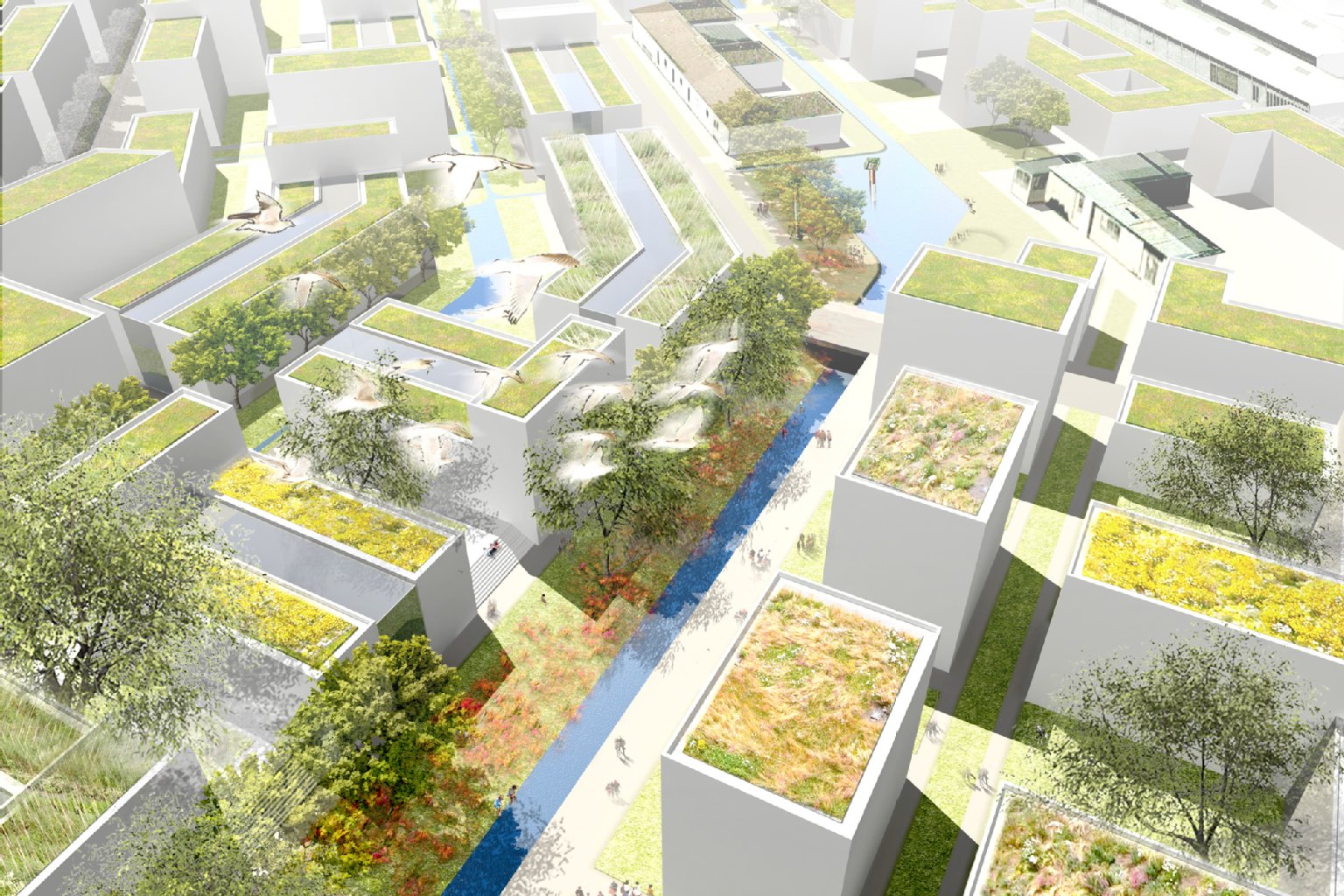 Energieautonome Häuser: Das neue Stadtviertel im Entwurf von Kyeong Hee Seo von der Universität Stuttgart sieht Öko-Häuser mit Dachbegrünung vor. Fotovoltaikanlagen sollen Sonnenenergie in Strom umwandeln.