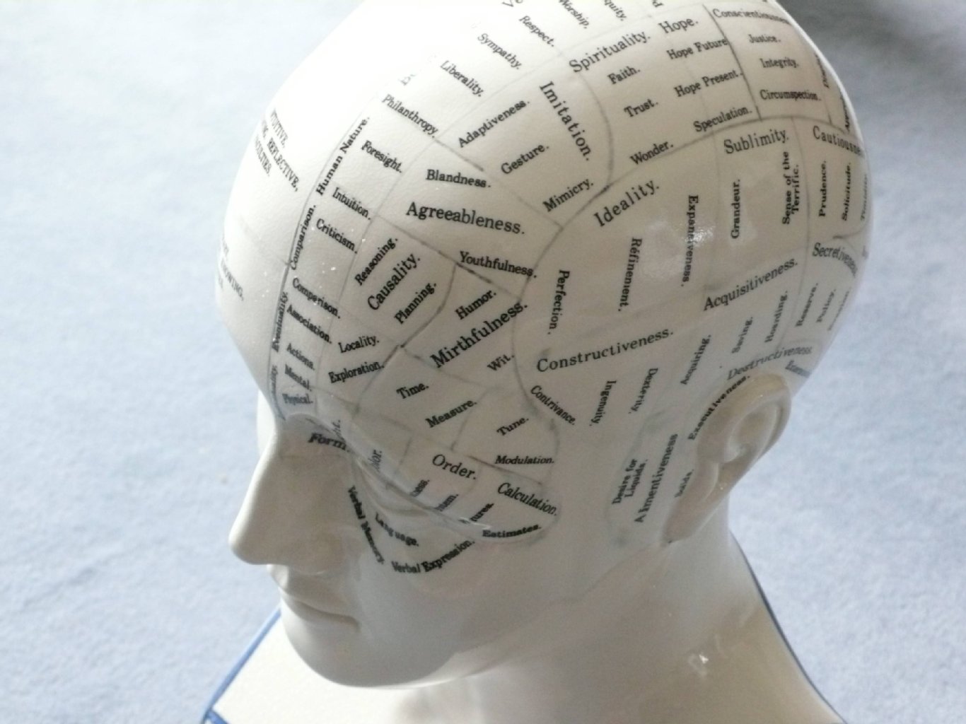 Forschung Gedächtnis sitzt in der Hirnrinde