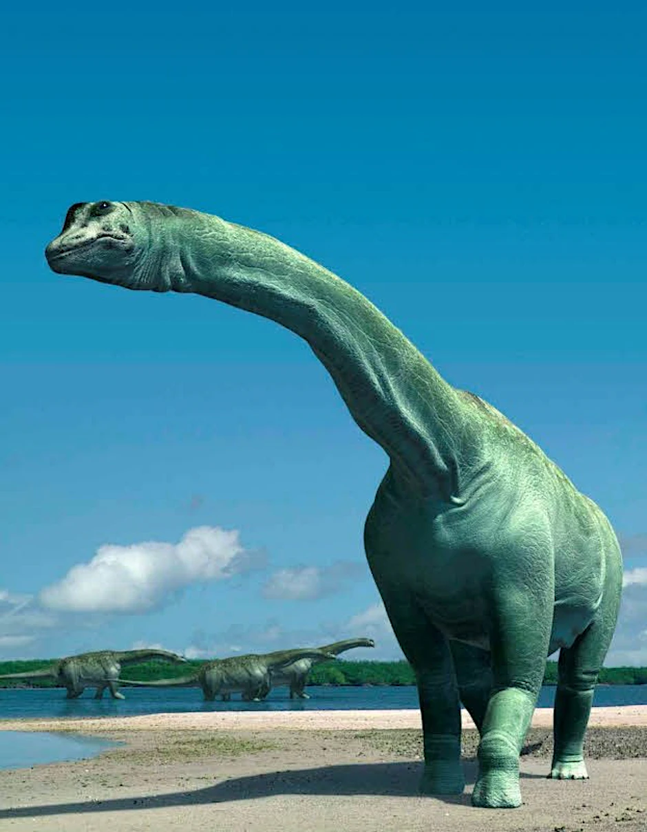 Viele Amerikaner glauben, dass der Mensch schon zu Zeiten der Dinosaurier die Erde bevölkerte.