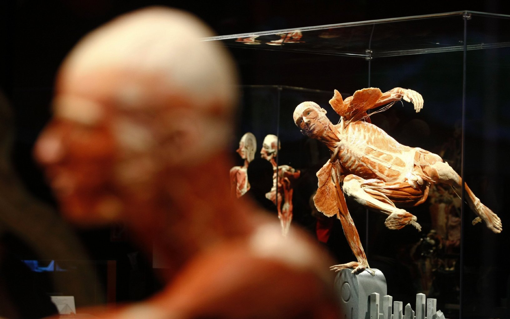 In Bewegung erstarrt: Ein Körper der Ausstellung in Berlin, 2009.