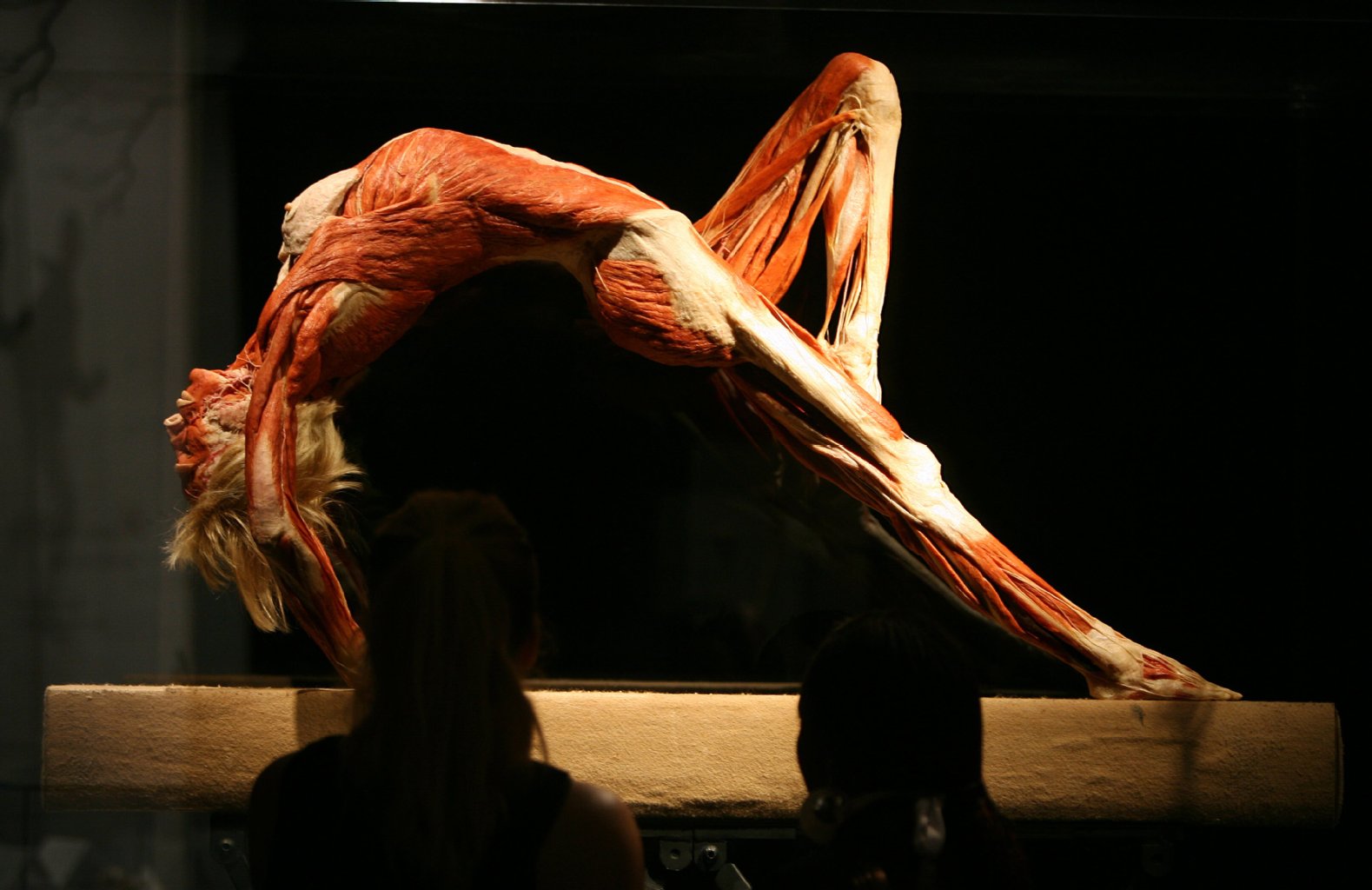 Plastinierter Körper in gymnastischer Pose im California Science Center in Los Angeles, 2008.