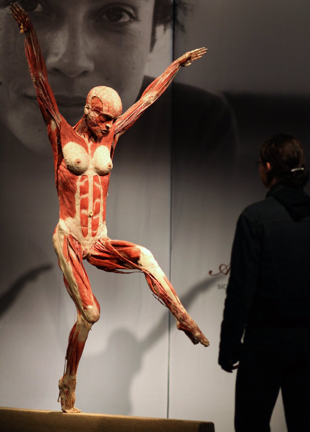 Eine Frau betrachtet die Plastik "Balkenturnerin" in der Ausstellung "Körperwelten & Der Zyklus des Lebens" 2009 in Berlin.