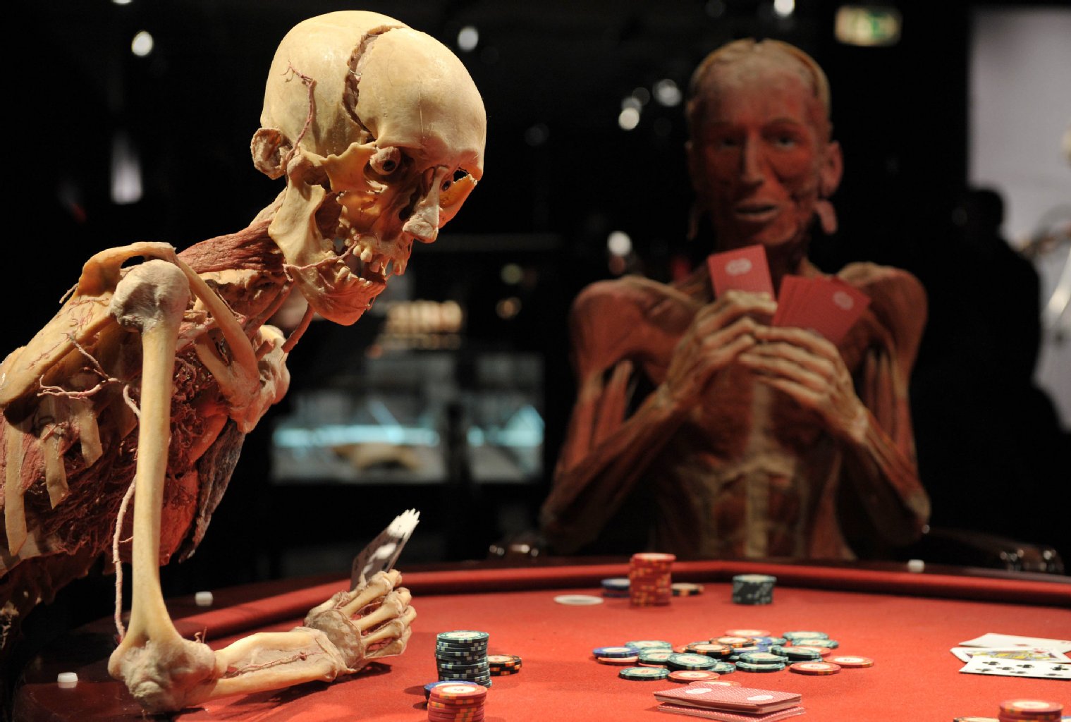 Plastinierte Leichen als Pokerrunde sitzen im Februar 2010 in Bremen an einem Pokertisch.