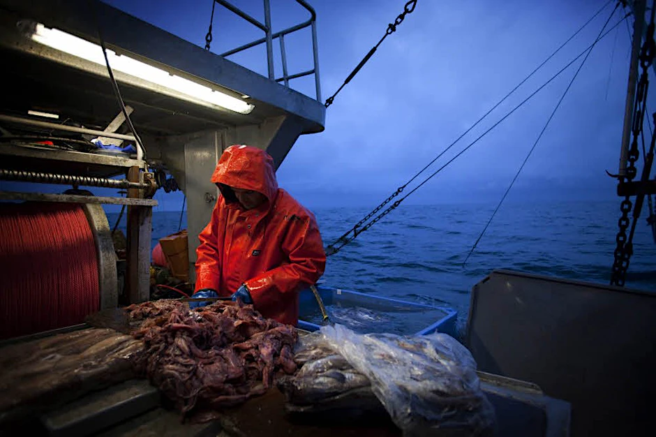 Auch der Fisch und der Fischfang wären durch radioaktives Wasser vor Kanadas Küste gefährdet.