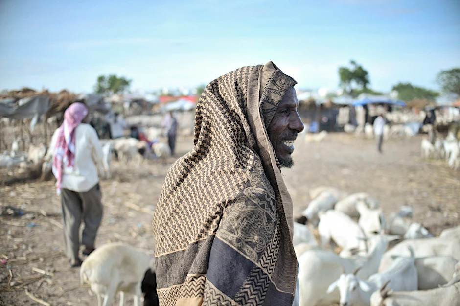 Die Somalierin Nadifa Mohamed erzählt eine grausame Geschichte vom Zerfall des Herkunftslandes ihrer Eltern (Foto: Ein Händler auf dem Markt in Mogadischu).