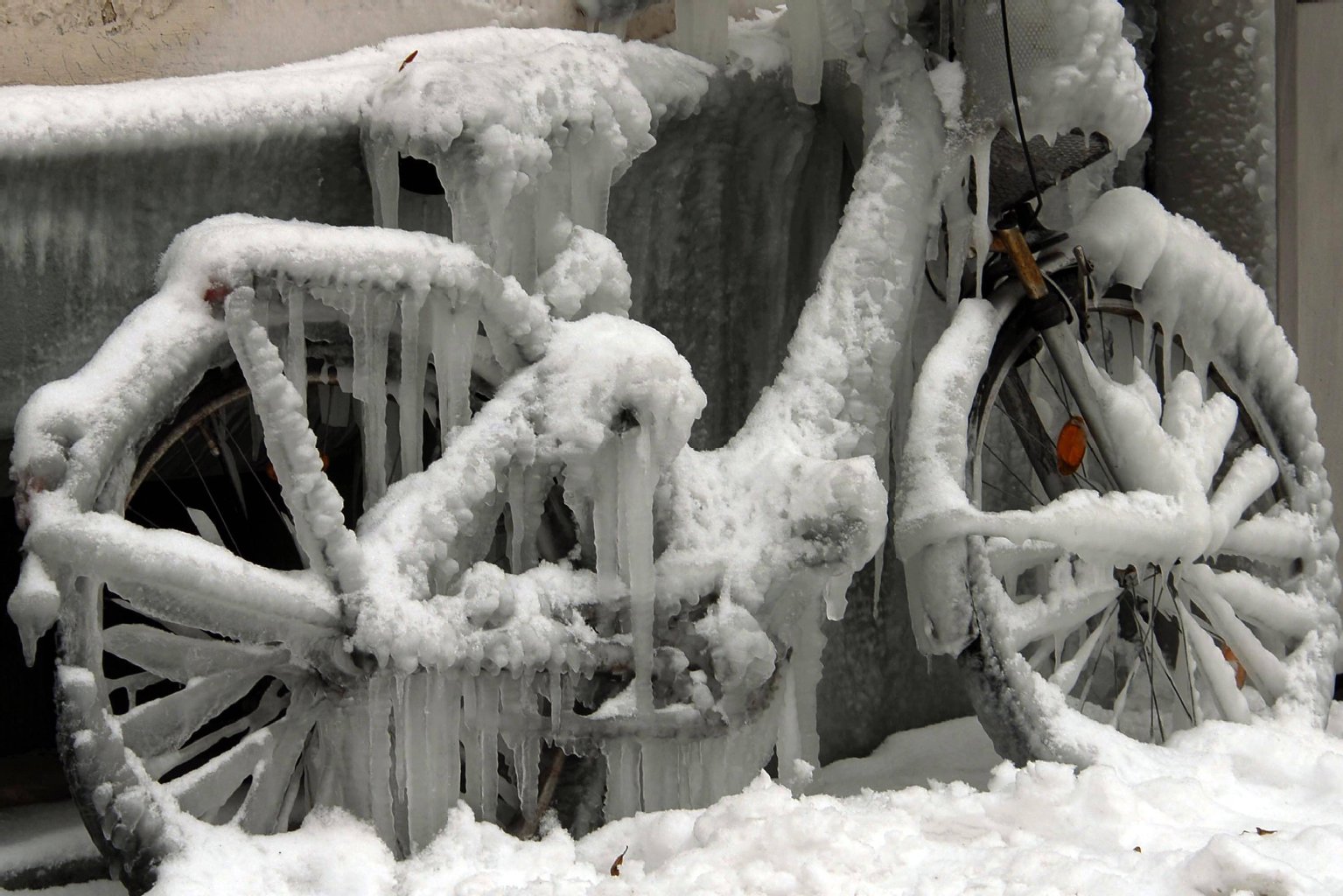 Kommentar zu Weihnachten in Berlin: Wer braucht schon Schnee