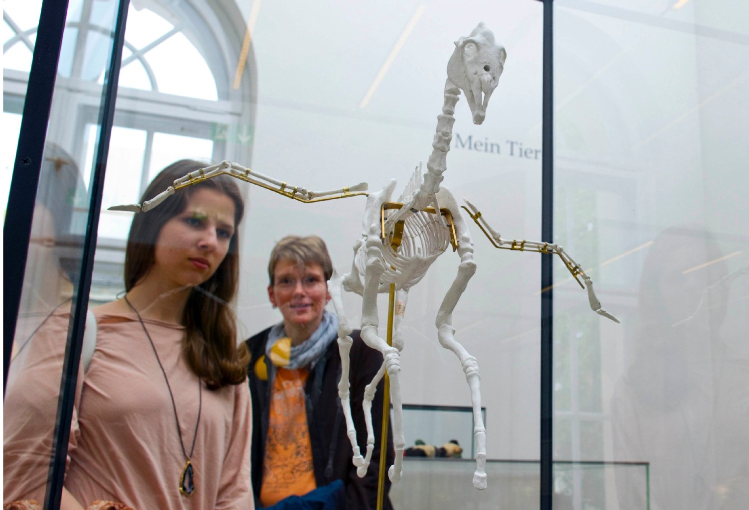 Komischer Vogel: Nein, ein fliegendes Pferd gehört zur Schau „Unsere Tiere“ im Tieranatomischen Theater, erstmals dabei in der Langen Nacht der Museen.