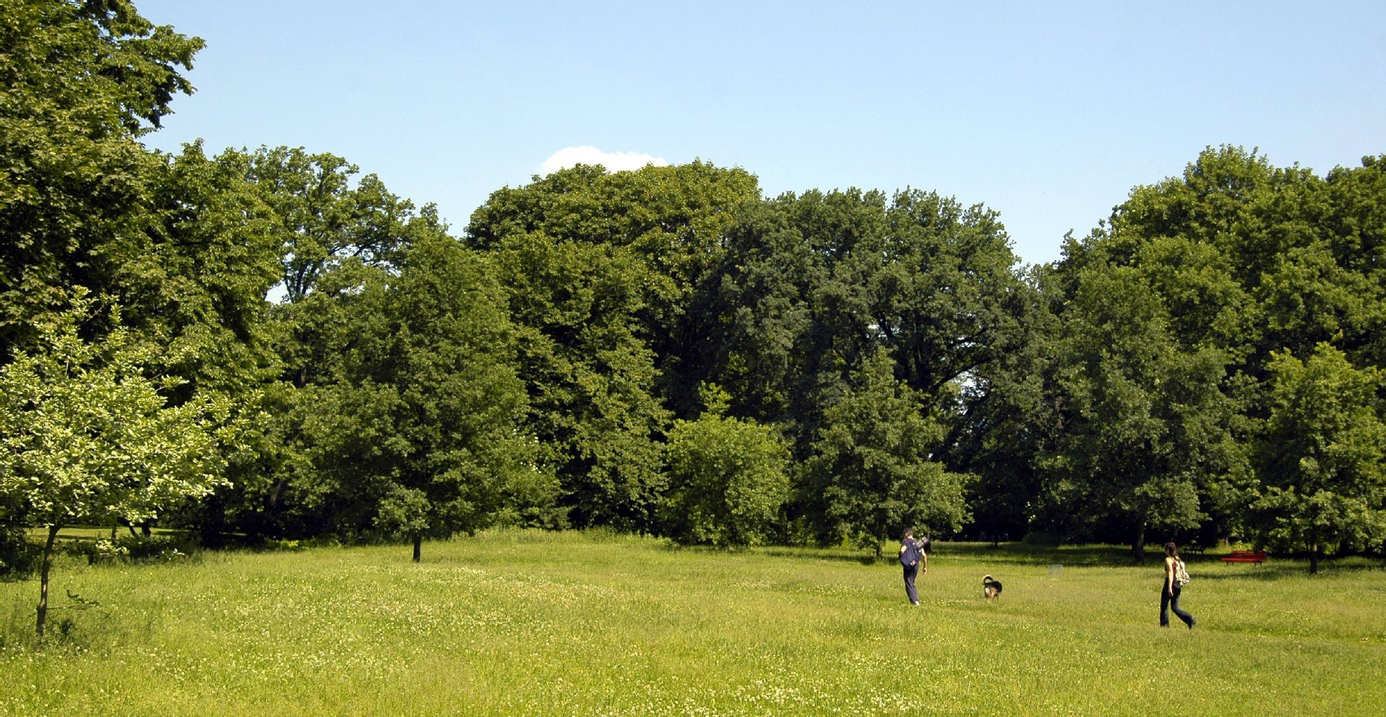 Viel Platz gibt es in der Hasenheide.
