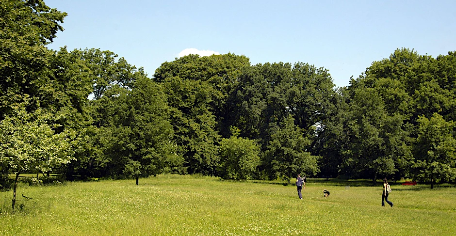 Viel Platz gibt es in der Hasenheide.
