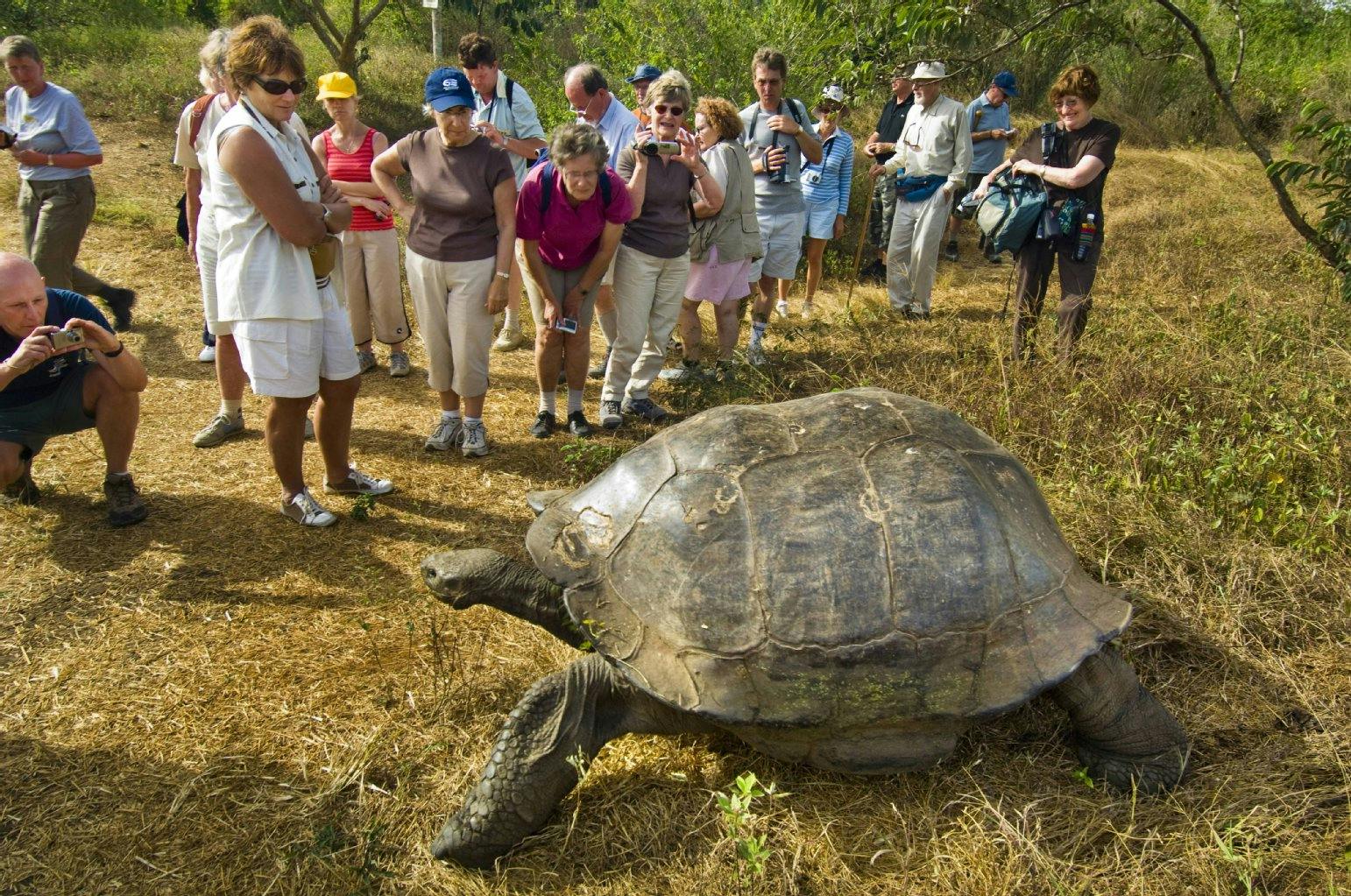 Massentourismus, wie hier auf der Insel Santa Cruz, gefährdet die Artenvielfalt.