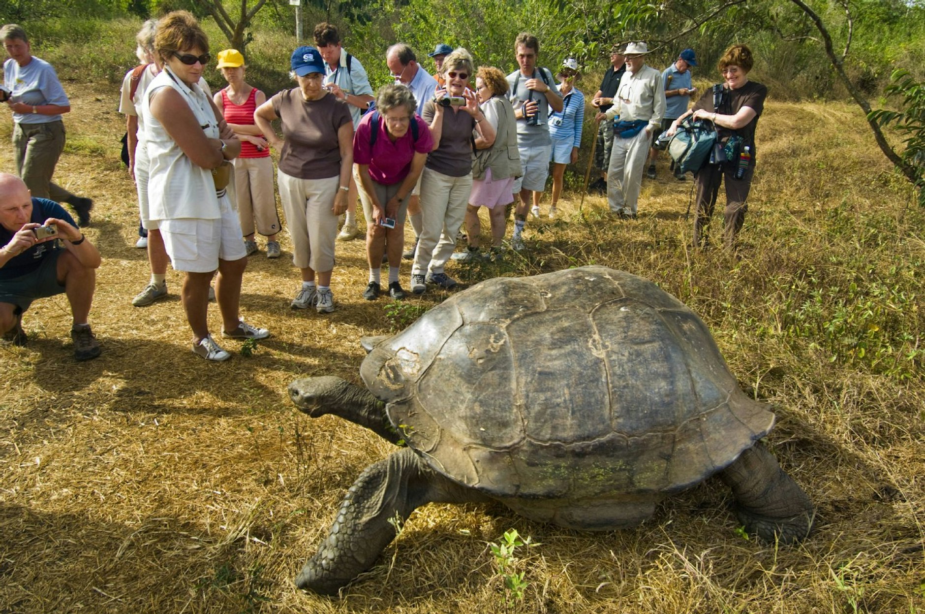 Massentourismus, wie hier auf der Insel Santa Cruz, gefährdet die Artenvielfalt.