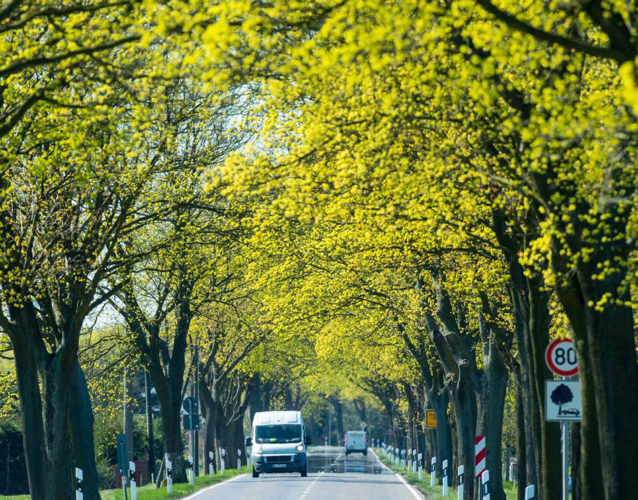 Der Frühling bleibt uns erhalten