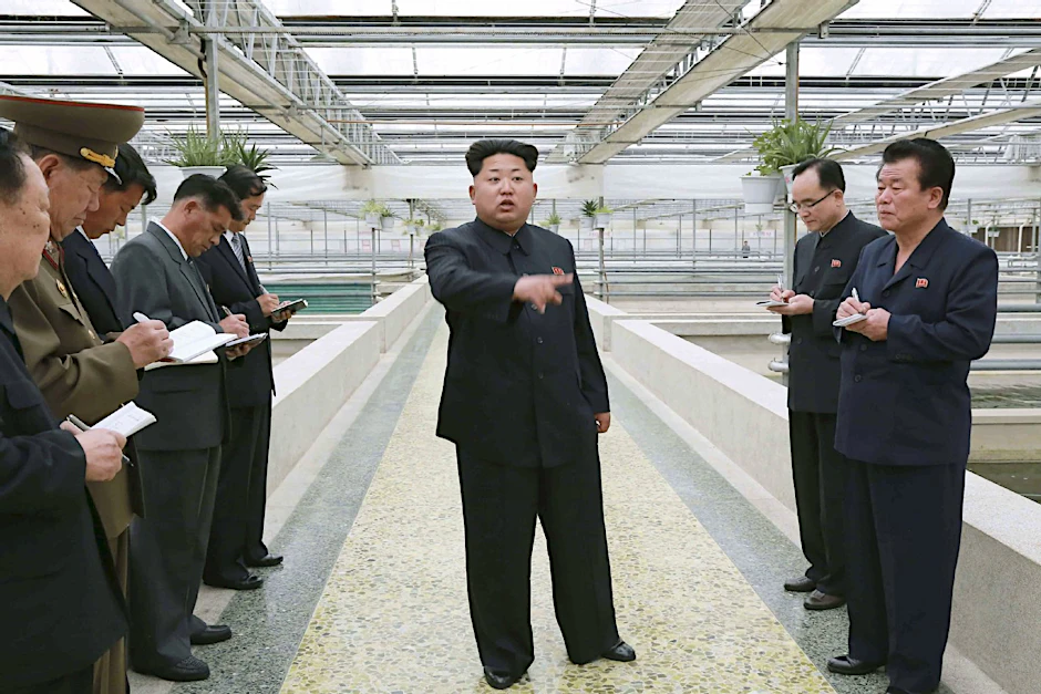 Dieses Bild zeigt den Diktator Kim Jong Un in einer Schildkrötenfarm in der Nähe von Pjöngjang.