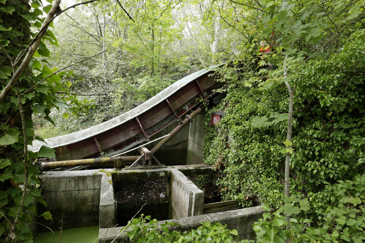 Die landeseigene Grün Berlin GmbH wird den Spreepark Anfang 2016 übernehmen. Sie wird entscheiden, was aus dem Vergnügungspark in Zukunft wird.