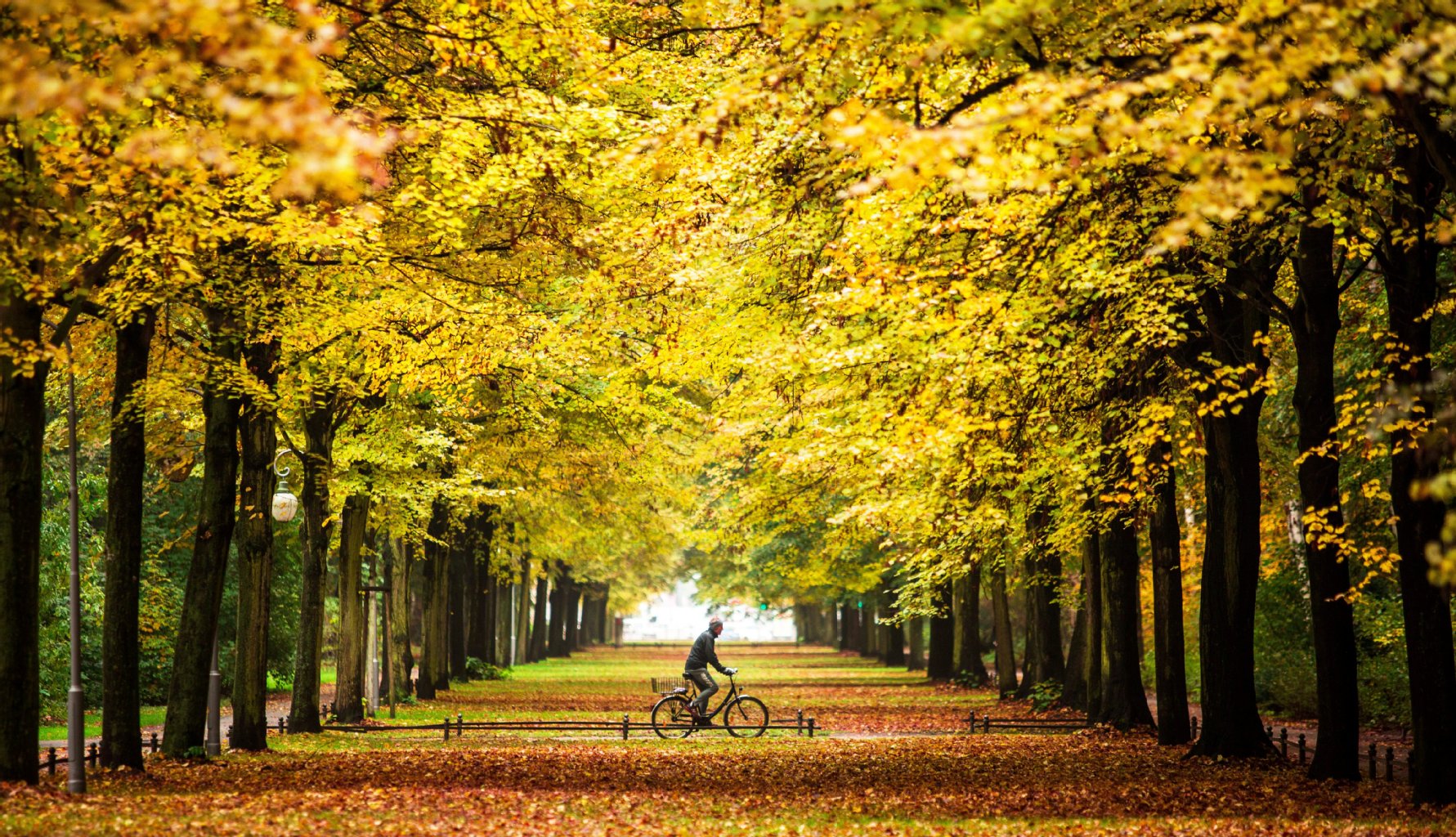 Berlin gewöhnt sich an die kalte Jahreszeit. Der Herbst steht der Hauptstadt gut. Besonders im Tiergarten.