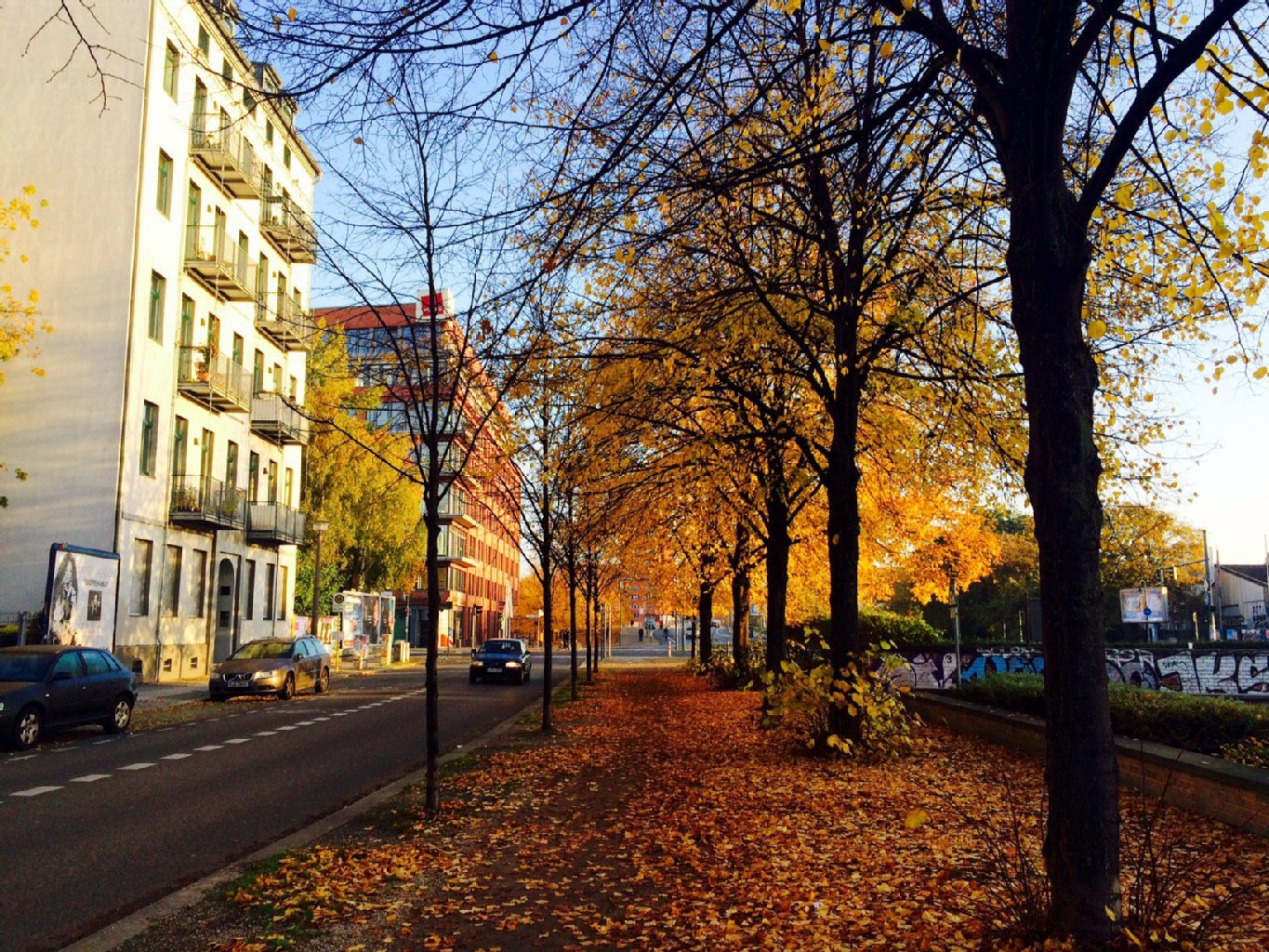 Der Gehweg am Engeldamm - schön herbstlich mit bunten Blättern übersät.