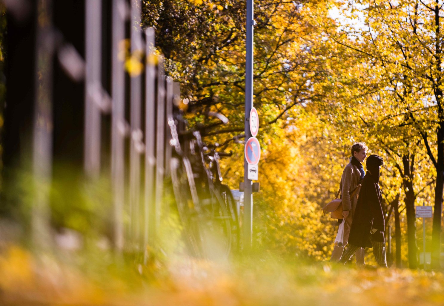 Der Herbst ist wohl die schönste Jahreszeit für lange Spaziergänge durch die Hauptstadt.