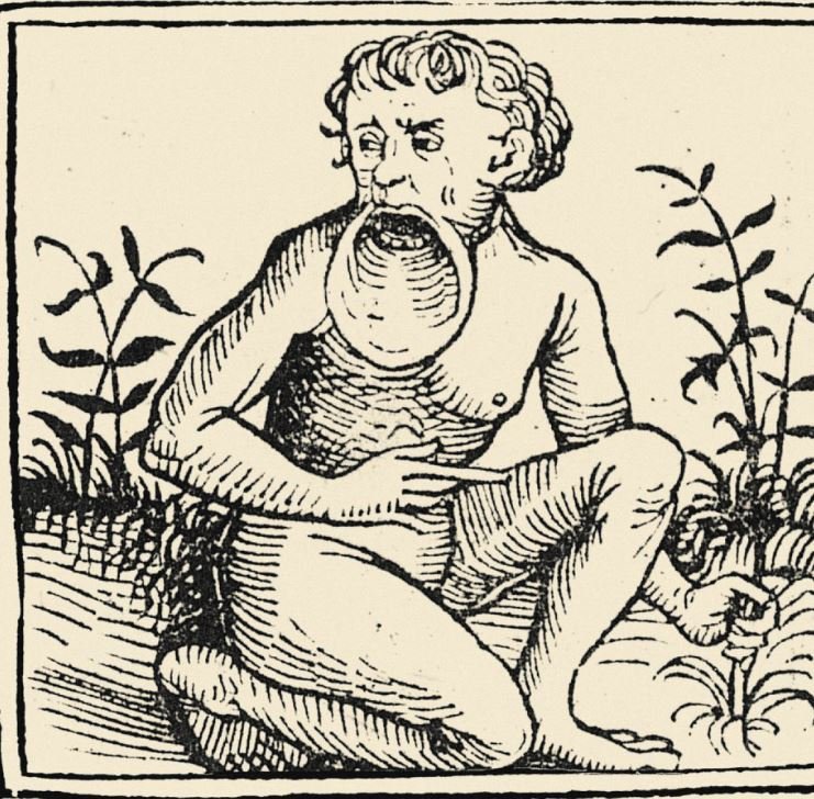 Grosslippler oder Amycterae können ihre riesige Unterlippe zum Schutz gegen die Sonne wie eine Kapuze über den Kopf ziehen. Dieses Wundervolk aus der Monsterwelt des Mittelalters hat seinen Ursprung ebenfalls in antiken Beschreibungen. Vermutlich gehen diese auf tatsächliche Bräuche der Lippendehnung in Polynesien zurück, die dann von antiken und mittelalterlichen Autoren bis ins Absurde übertrieben wurden – so wie bei anderen Völkern auch.