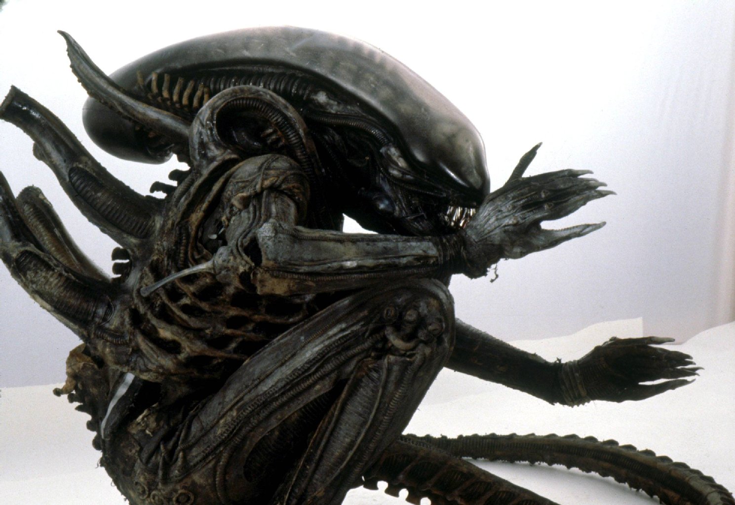 Mix aus Insekt, Schlange, Skorpion und Menschenschädel aus dem Film „Alien“, 1979.