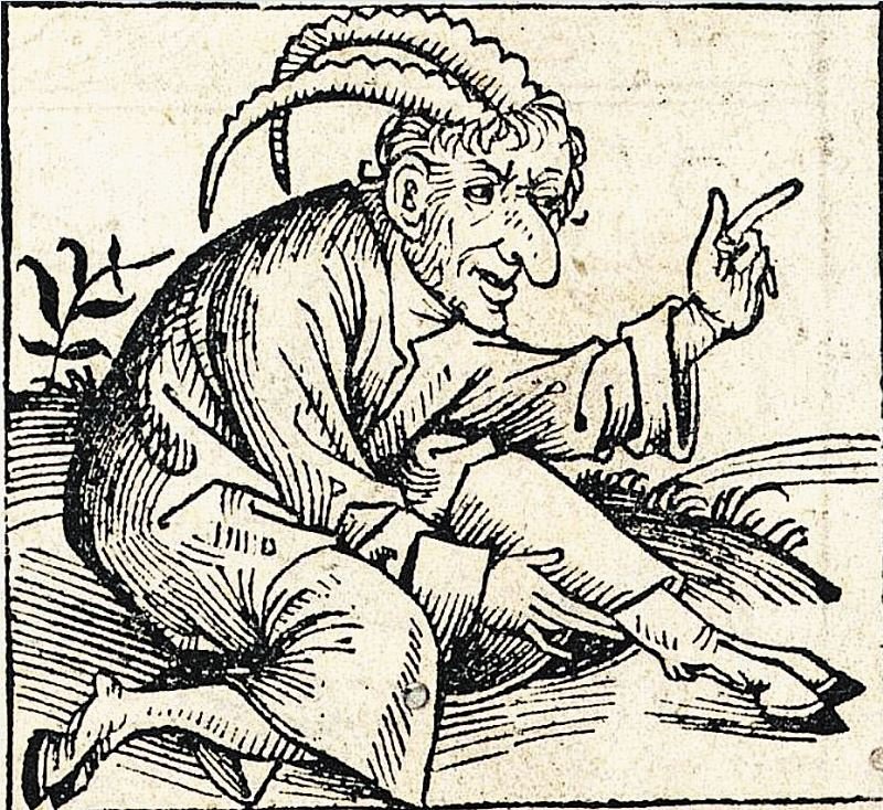 Satyrn sind hakennasige, gehörnte und ziegenfüßige Wesen. Sie zogen aus der antiken Mythologie in die Monsterwelt des Mittelalters ein – so wie auch Sirenen, Kentauren und Amazonen. Die Vorstellung von den Satyrn wandelte sich. Zunächst hatte sie noch eine starke sexuelle Komponente. In der Antike stellte man sie oft mit großem Phallus dar. Mittelalterliche Autoren verwechselten sie oft mit Faunen – kleinen, behaarten Waldbewohnern, die für das nächtliche Albdrücken verantwortlich gemacht wurden.