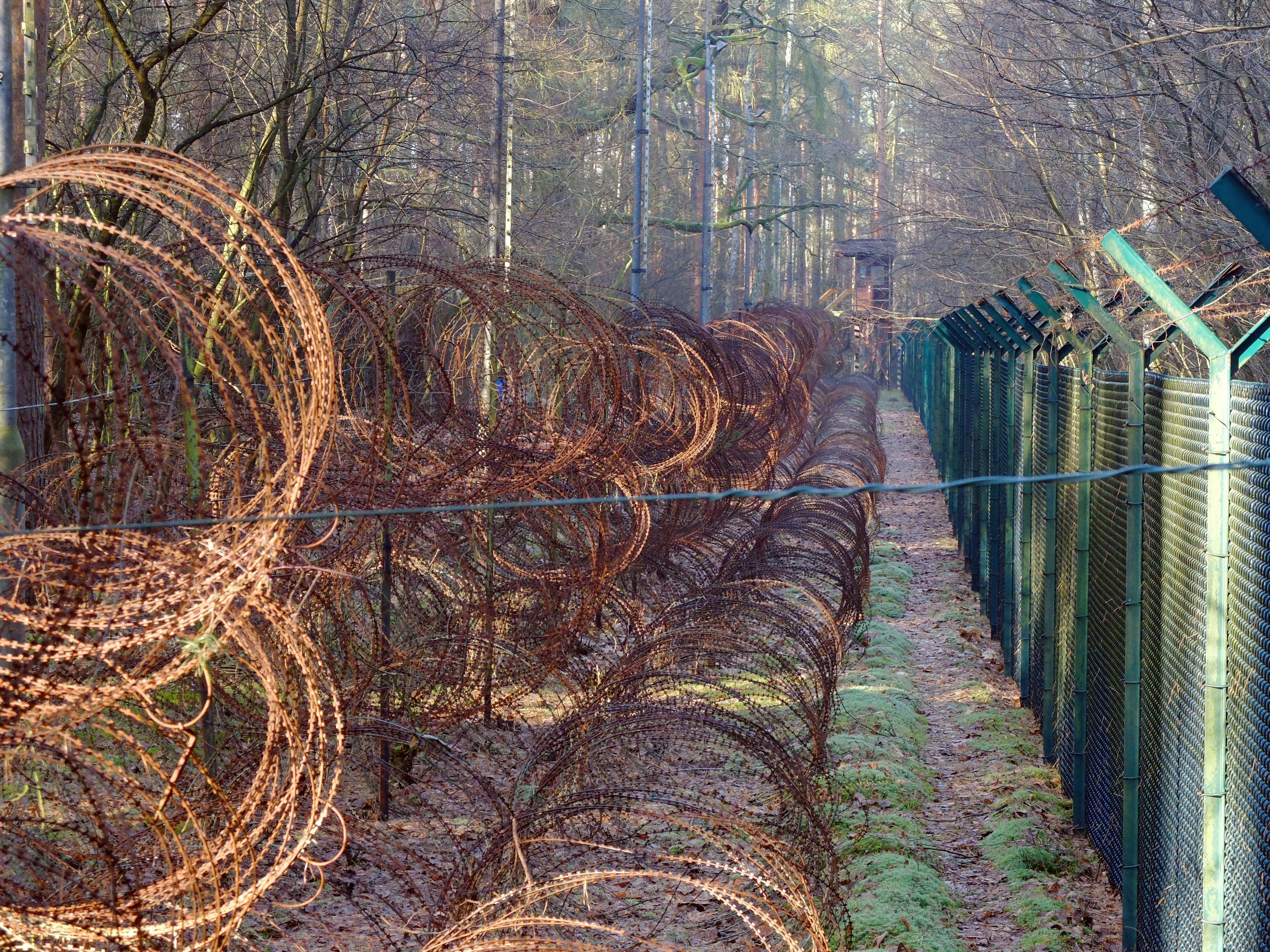 Weltkriegsbombe aus Schmargendorf erfolgreich im Grunewald gesprengt