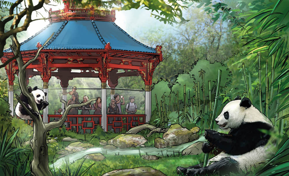 Überall Bambus: So wird die Panda-Anlage mit viel Grünzeug aussehen.
