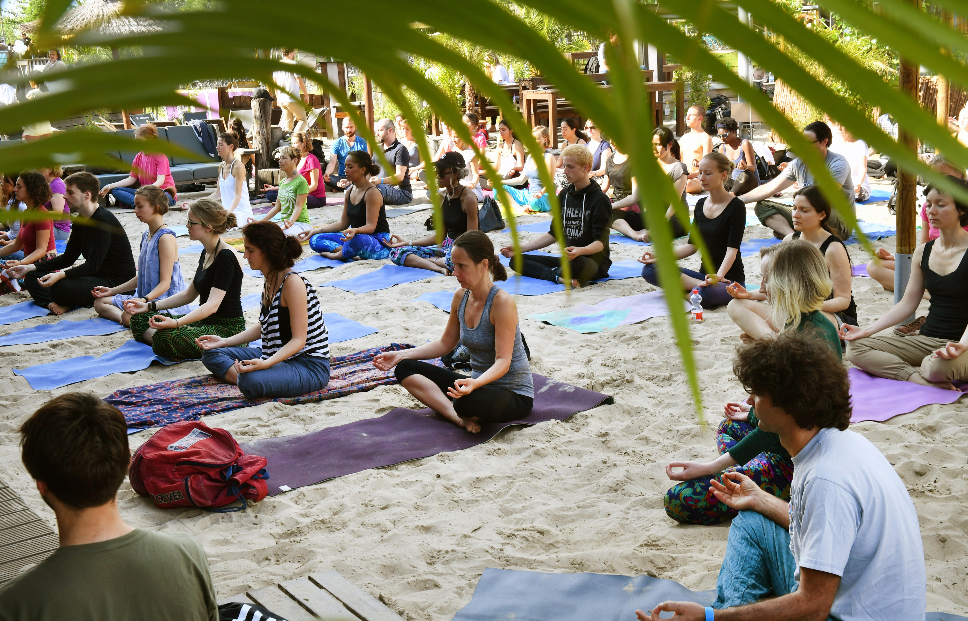 Yoga unter freiem Himmel ist in Berlin ziemlich beliebt.