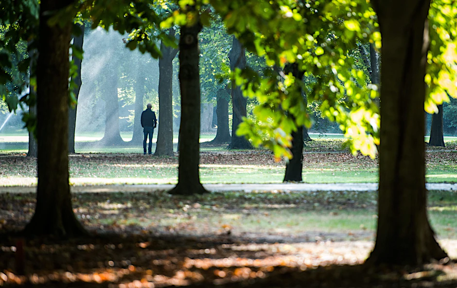 Herbststimmung im Tiergarten.