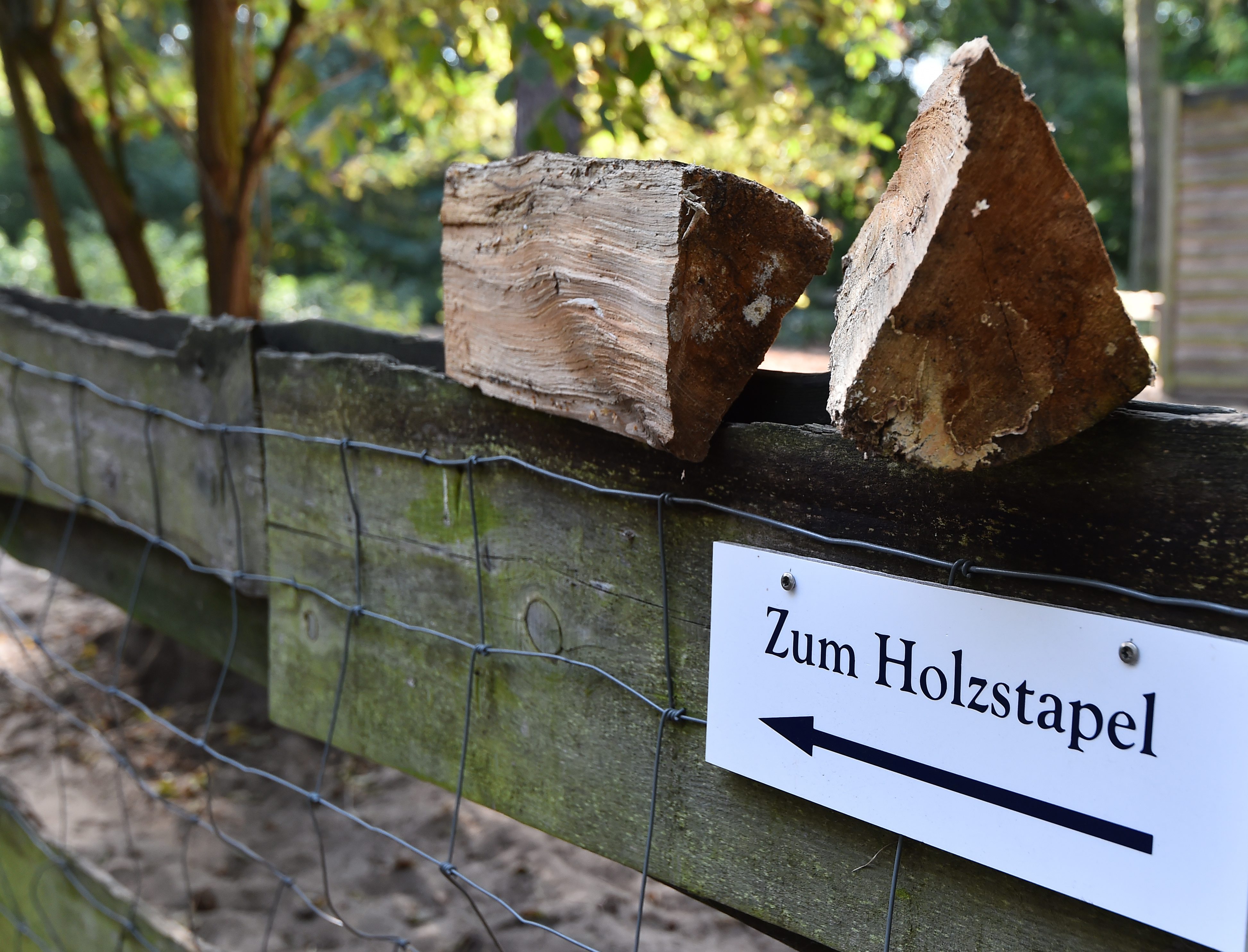 Ein Schild weist den Weg zu einem Holzstapel auf dem Gelände des Inselhotels Hermannswerder.