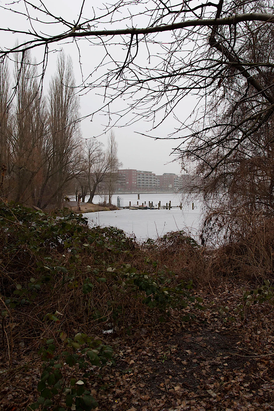 Auf den letzten freien Flächen am See soll eine Art Wasserpark gebaut werden.