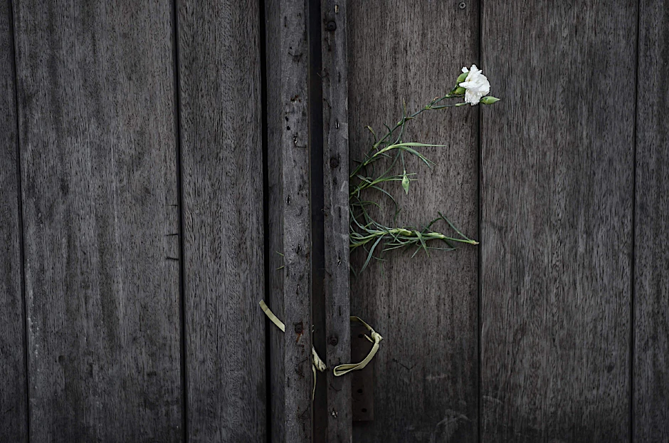 Eine Blume an der Tür des Klubs Reina, in dem 39 Menschen starben.