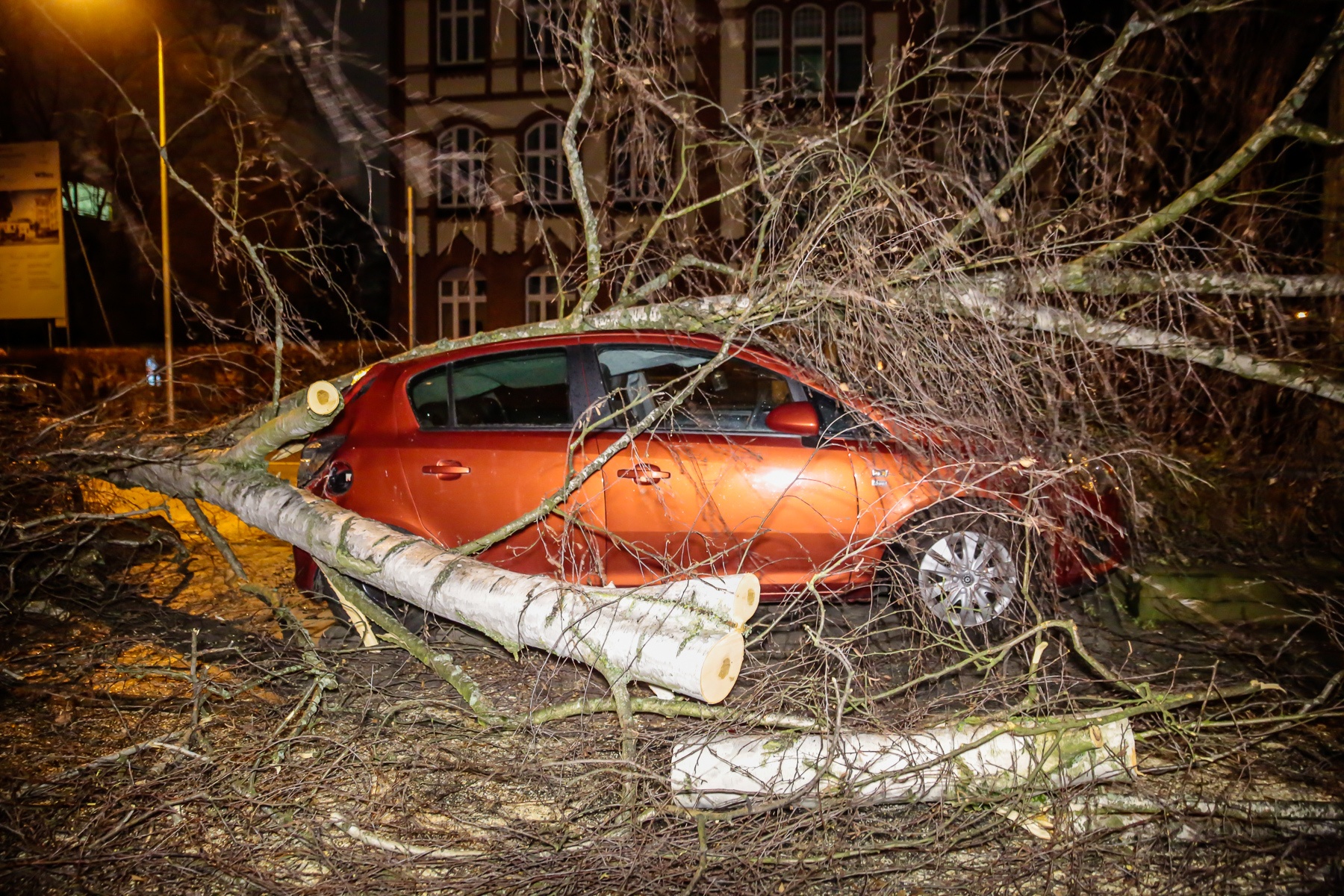 In Wiesbaden (Hessen) stürzt ein Baum durch den Sturm um und landet auf einem Auto.