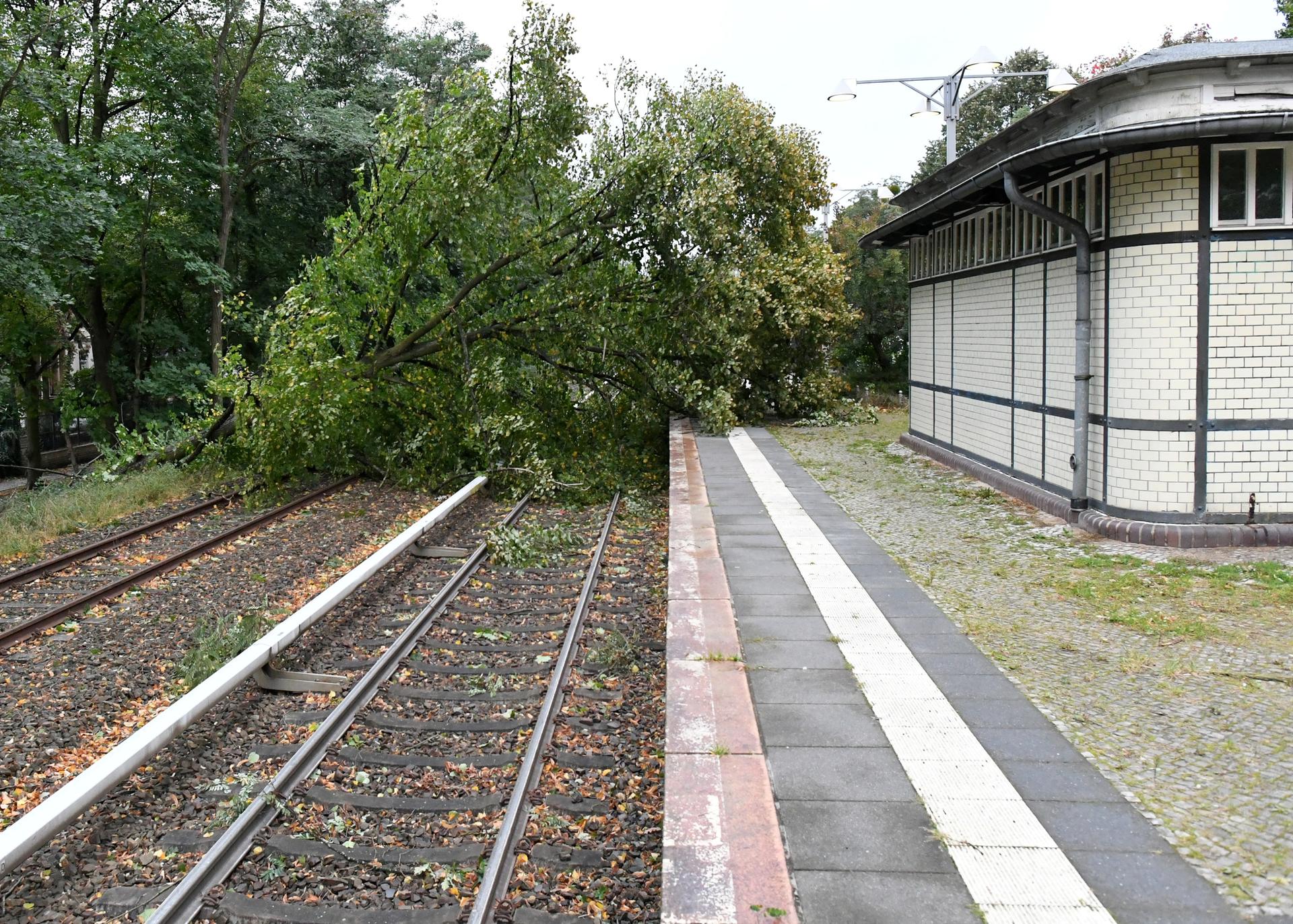 Der Bahnverkehr in Berlin und Brandenburg ist durch das Sturmtief Xavier immer noch beeinträchtigt.