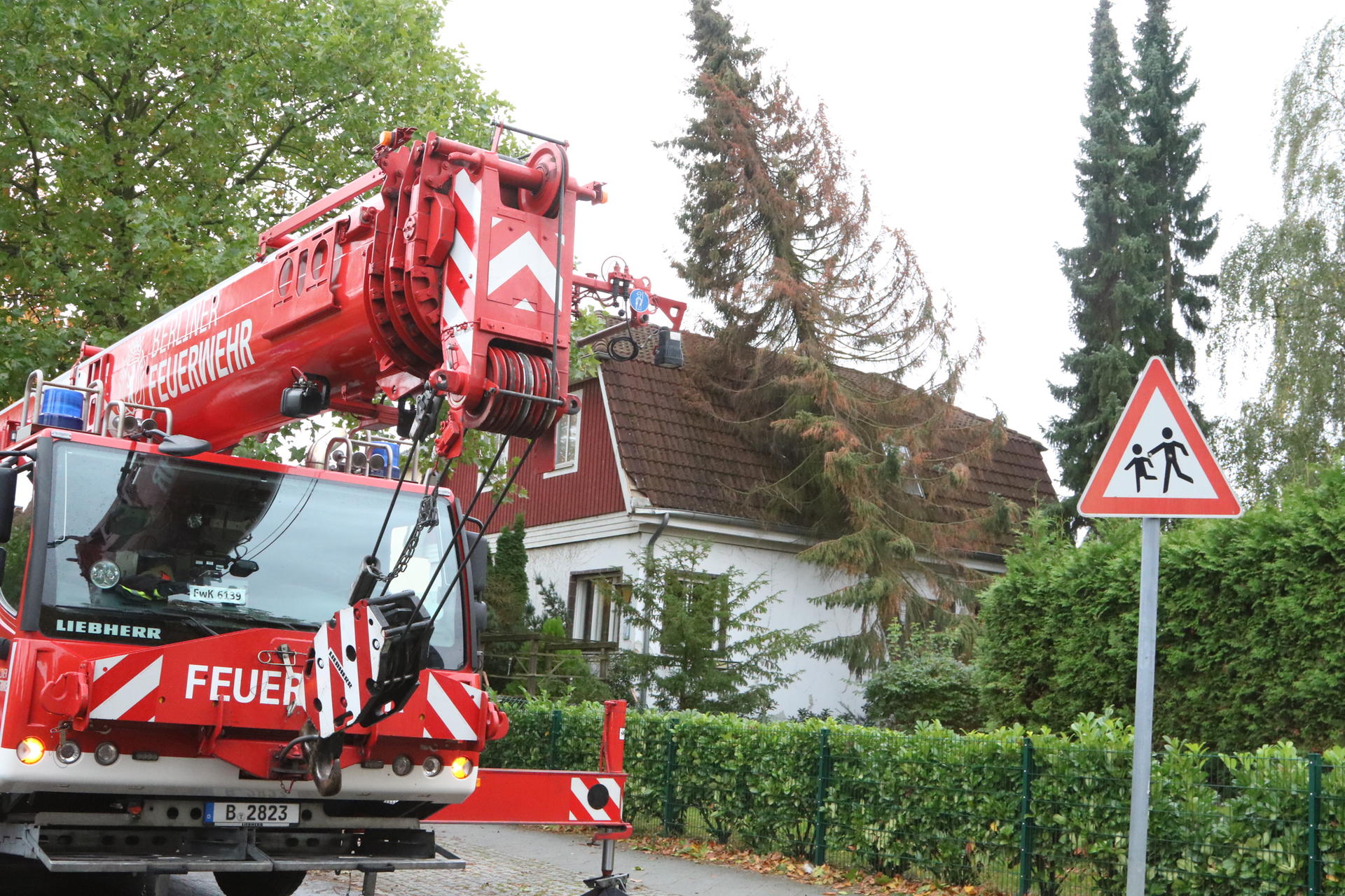 Am Vierrutenberg ist eine 20 Meter hohe Tanne auf ein Kinderhospiz gestürzt.
