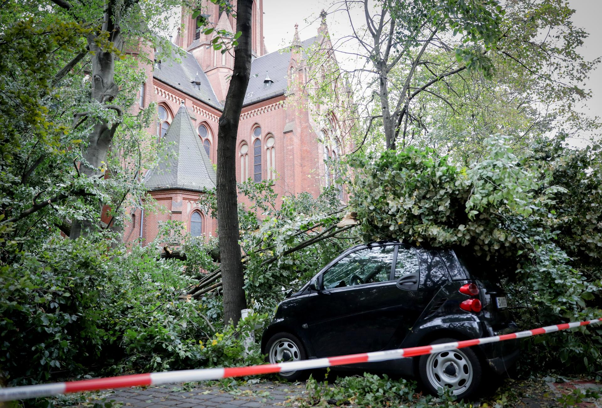 Ein Baum liegt auf dem Ludwig-Kirch-Platz auf mehreren Autos. 