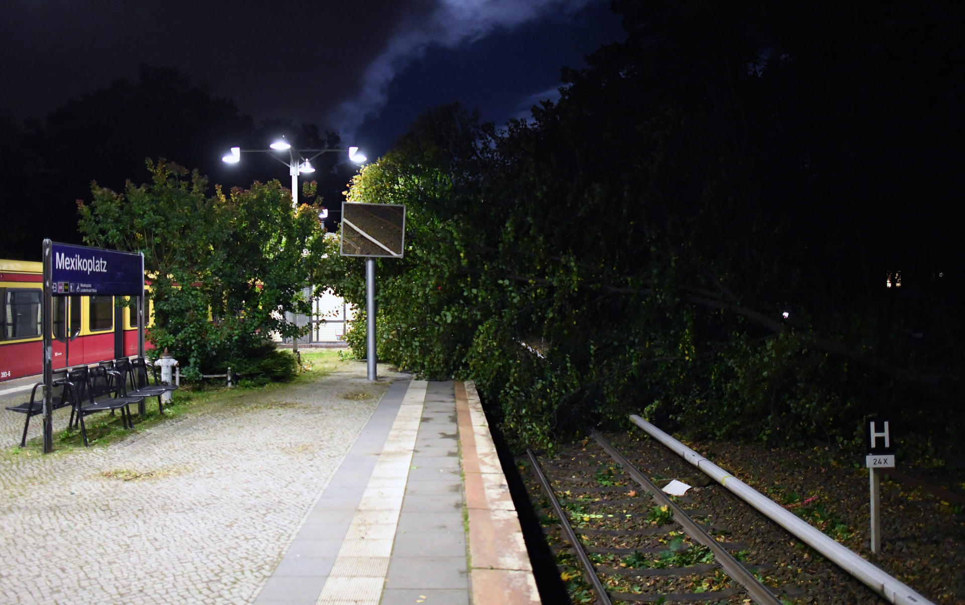 Ein Baum liegt auf den Gleisen der Berliner S-Bahn nahe dem Mexikoplatz.