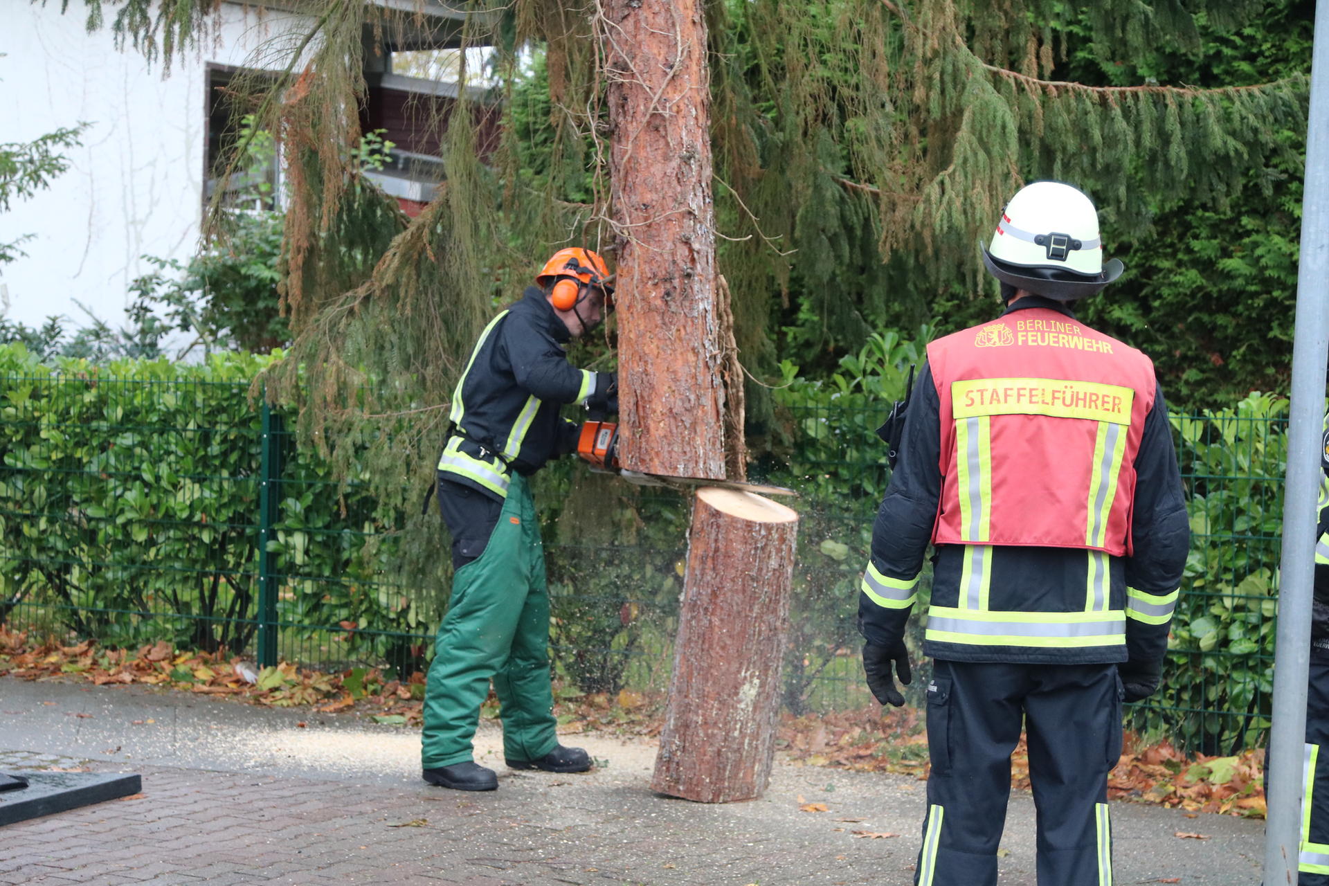 Am Vierrutenberg ist eine 20 Meter hohe Tanne auf ein Haus gestürzt und drohte auf die Straße zu fallen.