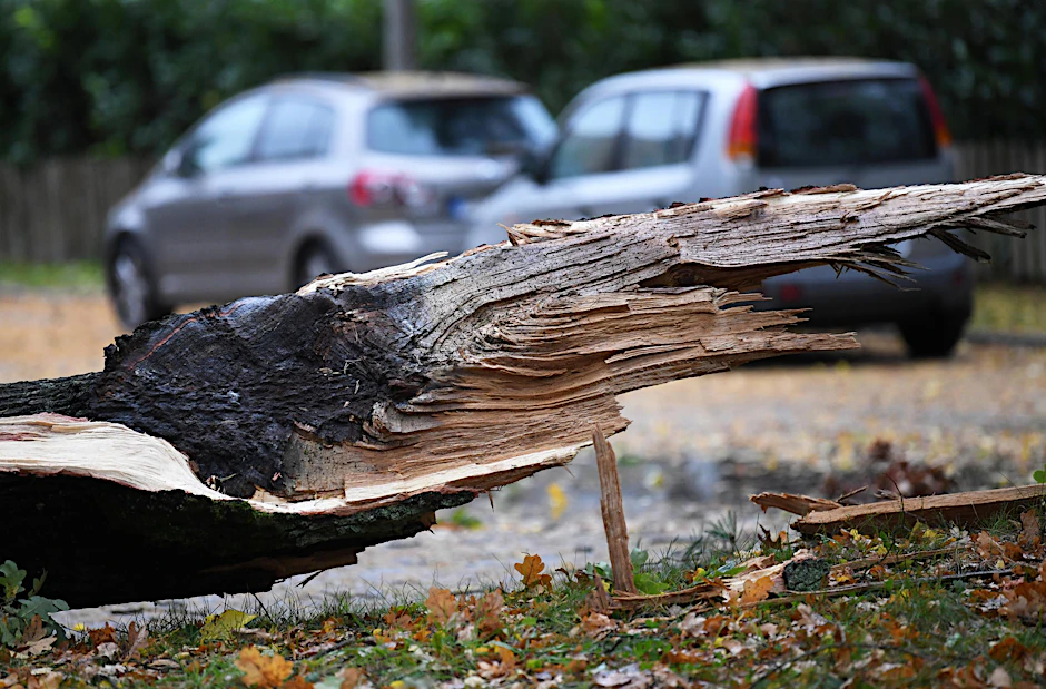 Äste und ein umgekippter Baum liegen auf einer Straße in Kleinmachnow (Brandenburg). 