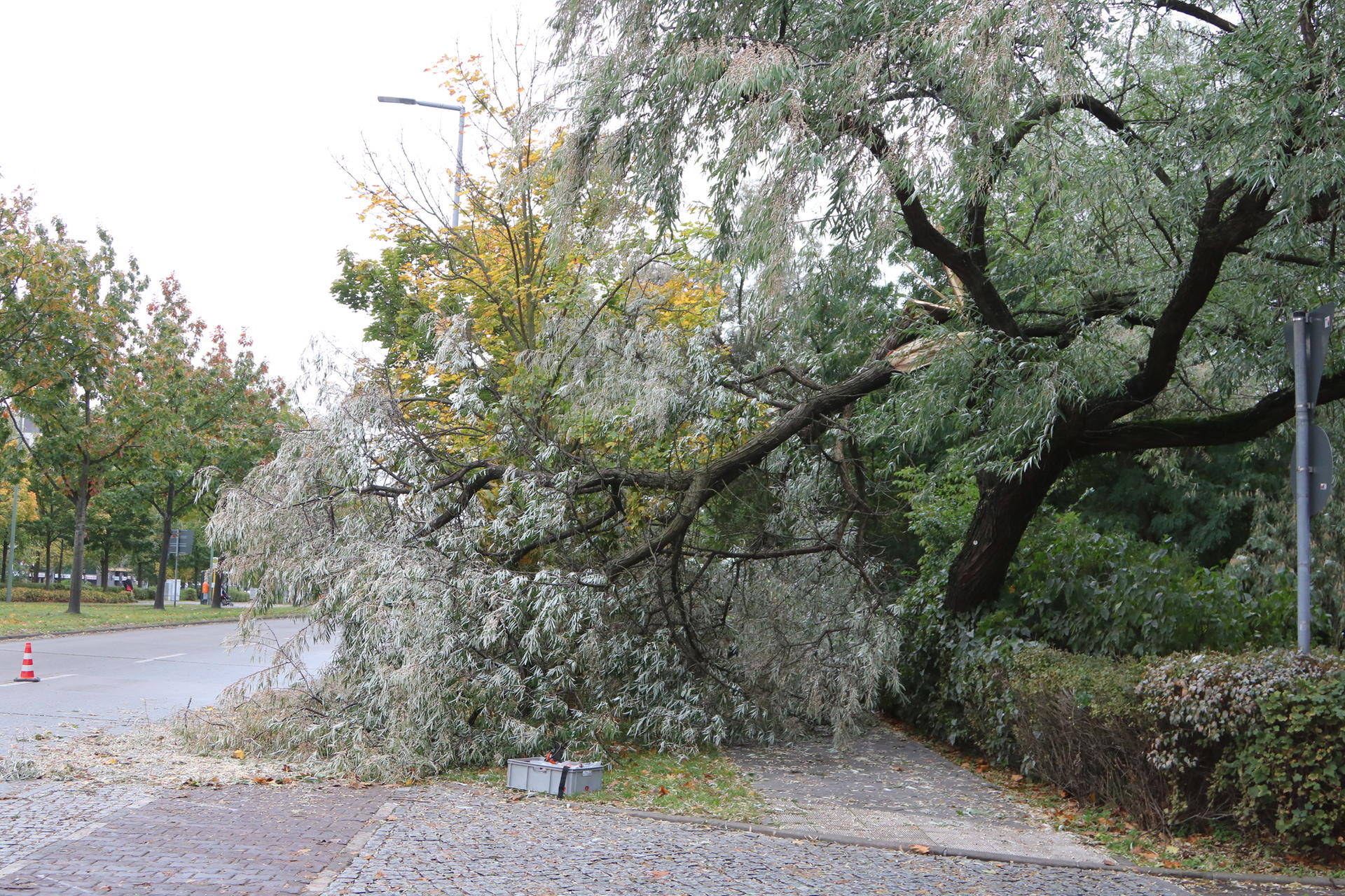 Ein umgestürzter Baum in der Blumberger Damm Ecke Pöhlberger Straße.