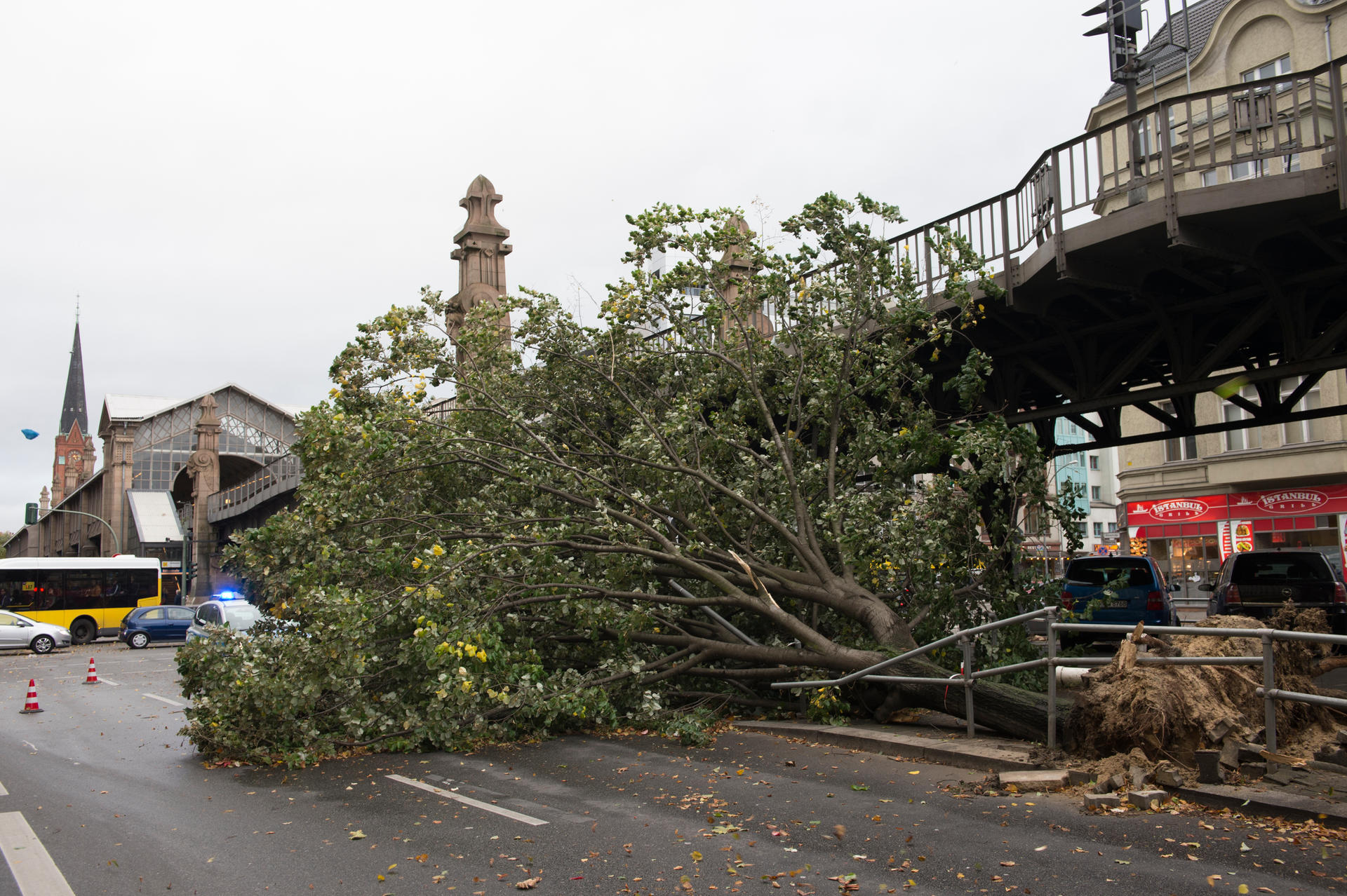 Ein umgestürzter Baum am Bahnhof Bülowstraße.
