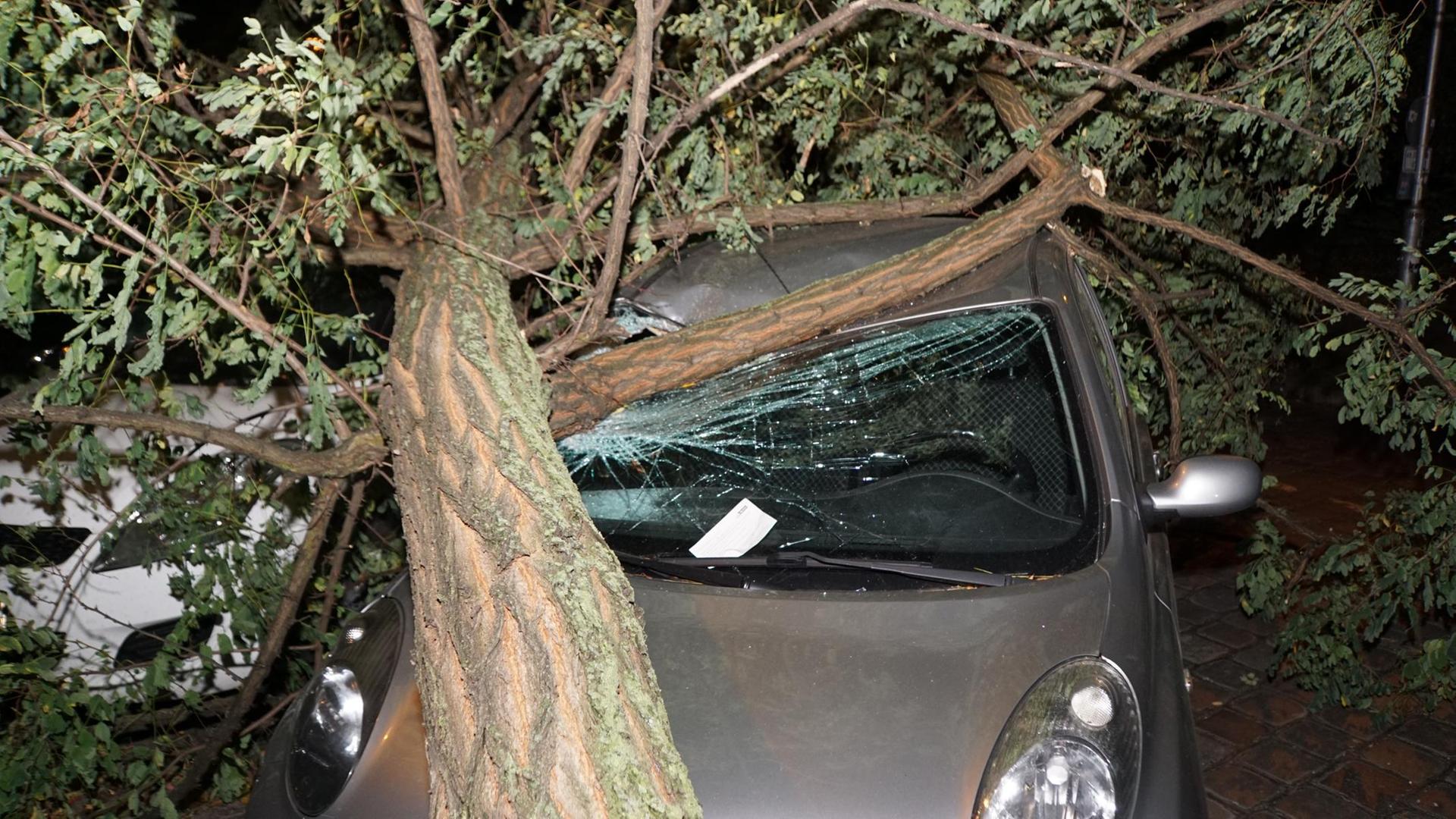 Mit einem Zettel informiert die Polizei Fahrer in der Türrschmidtstraße in Rummelsburg, dass ihr Fahrzeug einen Sturmschaden erlitten hat. Soso...