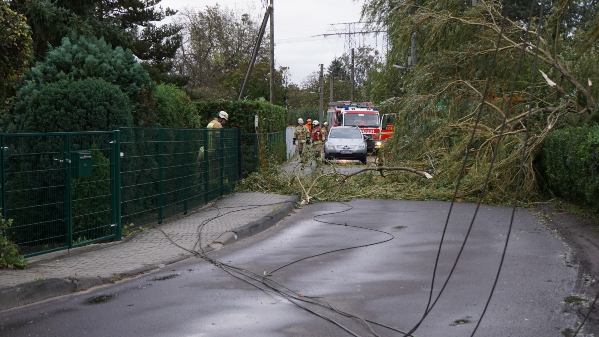 Kein Strom in Baumschulenweg: Ein Strommast im Ligusterweg ist umgefallen.