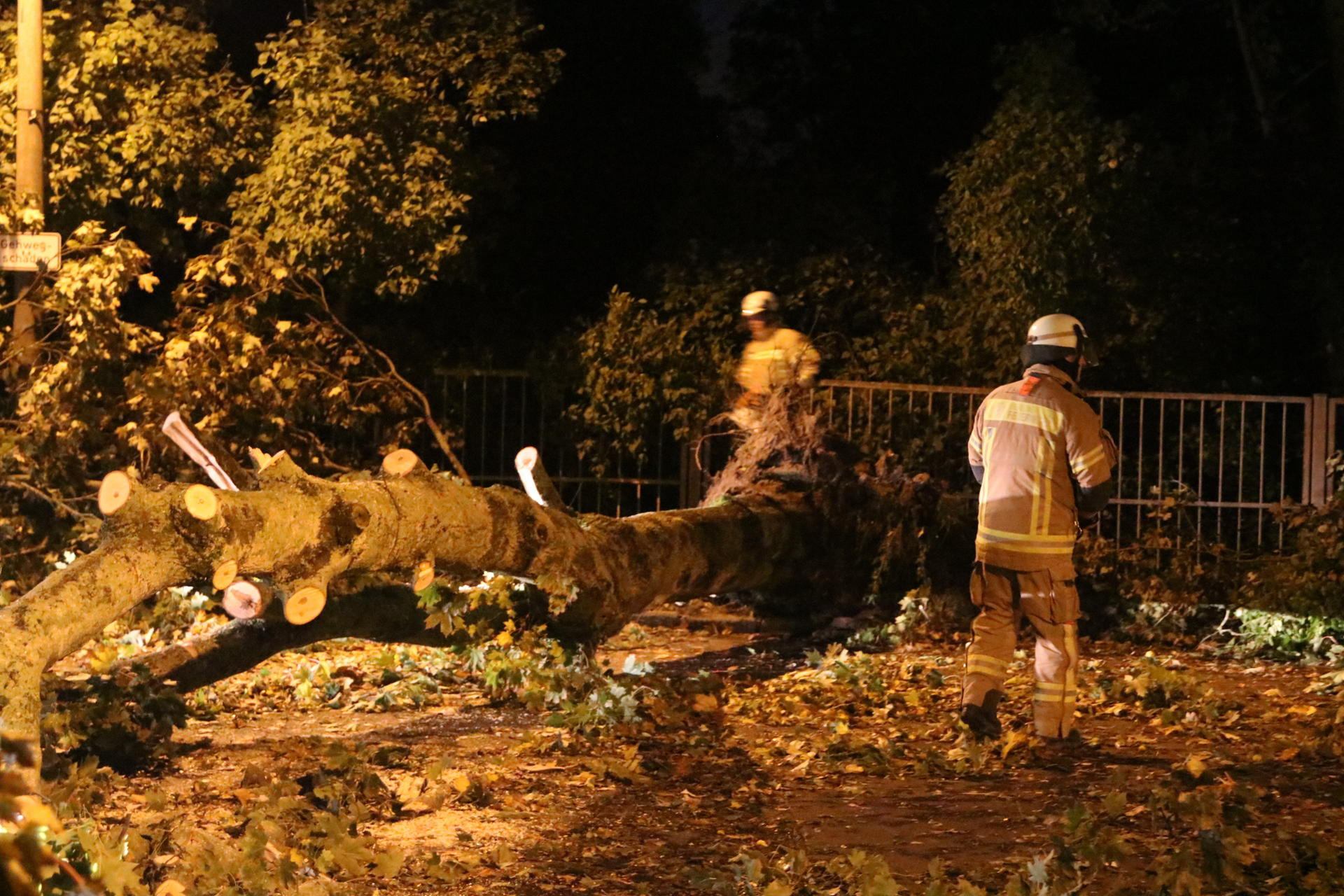In Pankow an der Kreuzung Heegenmühler Weg/ Marthastraße stürzte in den Abendstunden ein großer Baum um.