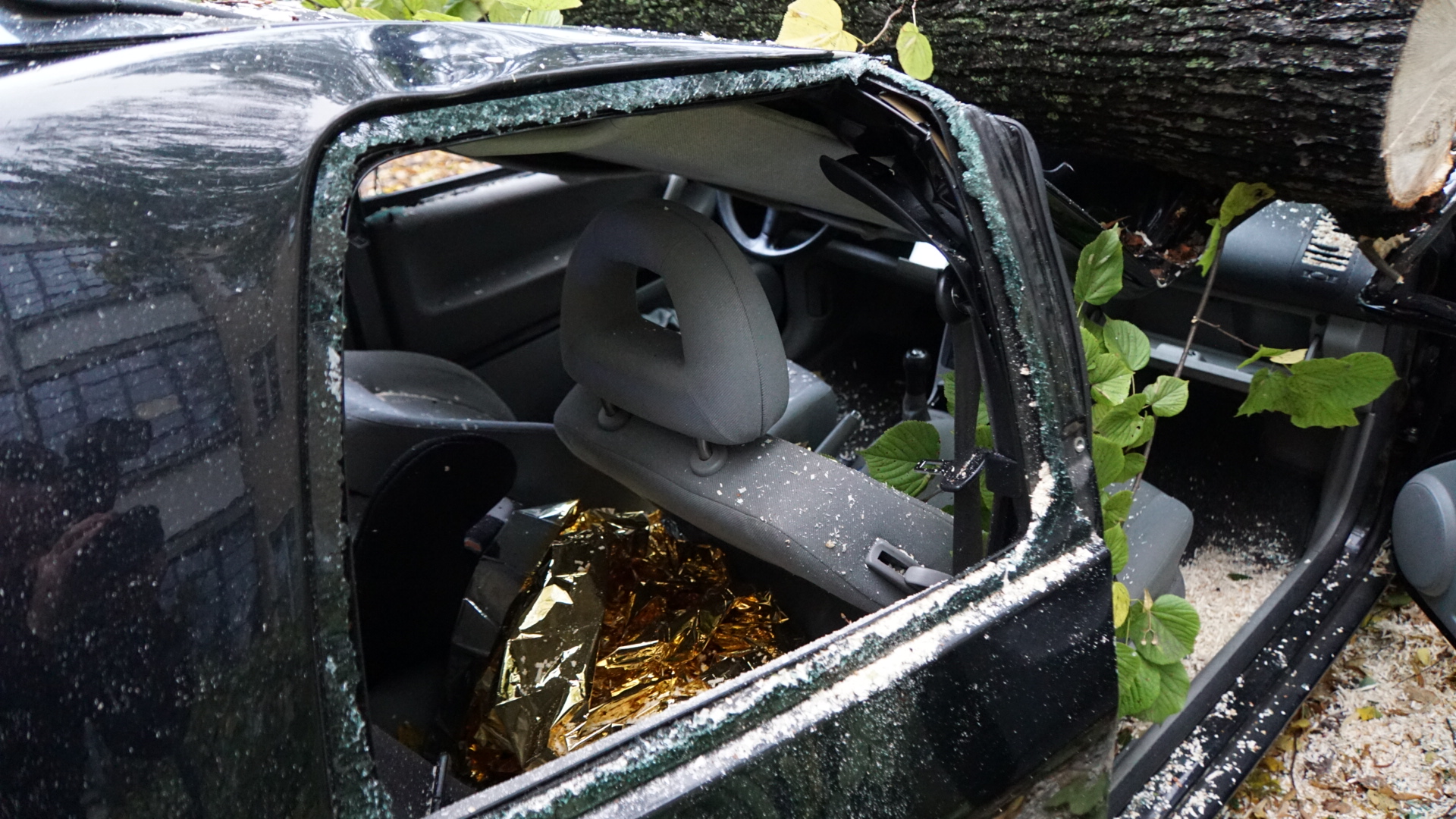 In Plänterwald stürzt ein Baum auf ein Auto. Beide Insassen können lebend gerettet werden. Eine Person musste schwer verletzt ins Krankenhaus.