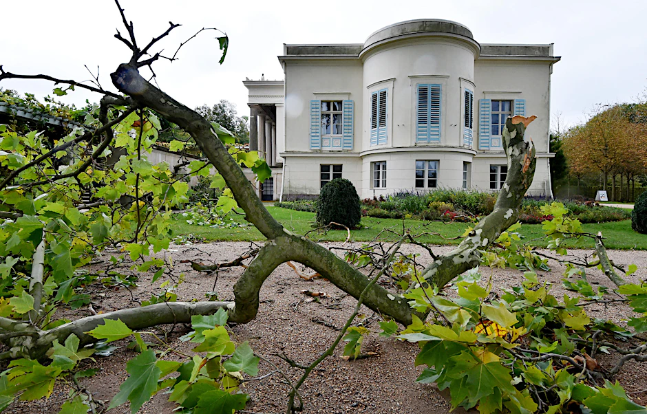 Äste und umgestürzte Bäume im Park von Sanssouci.