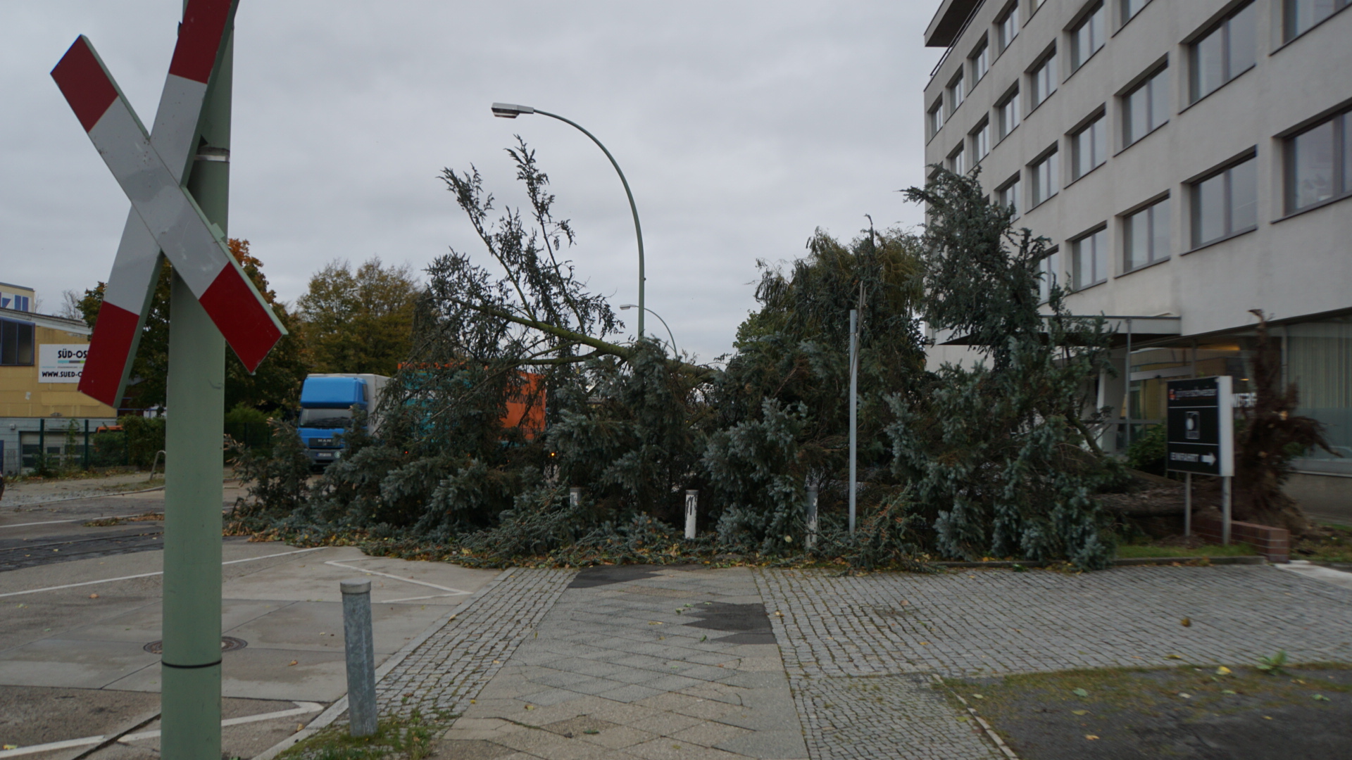 Ein Baum stürzt auf Autos vor dem Wisag-Stützpunkt in Neukölln.