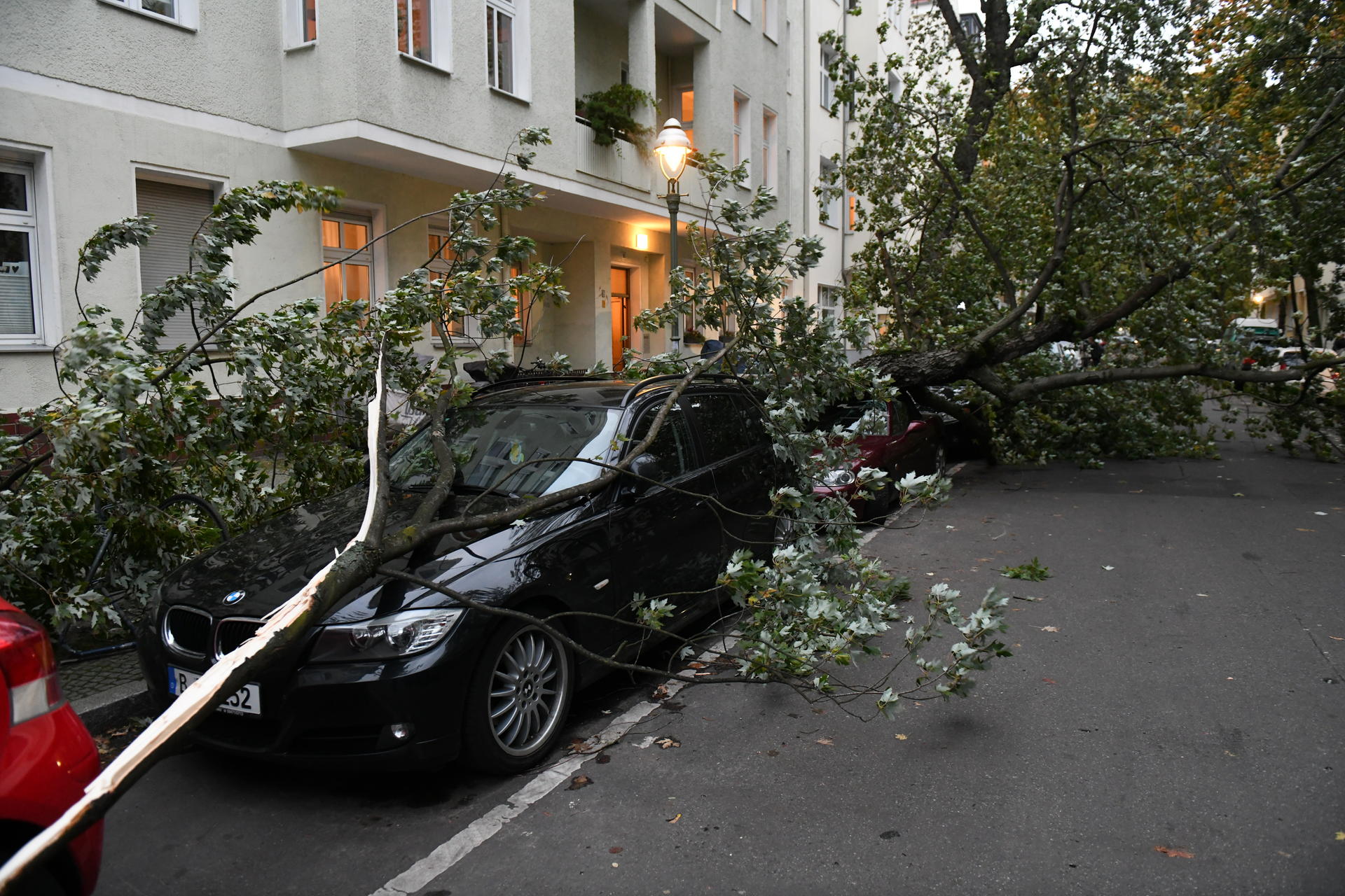 Ein umgestürzter Baum liegt in Wilmersdorf in der Gieselerstraße auf dem Dach eines PKW.