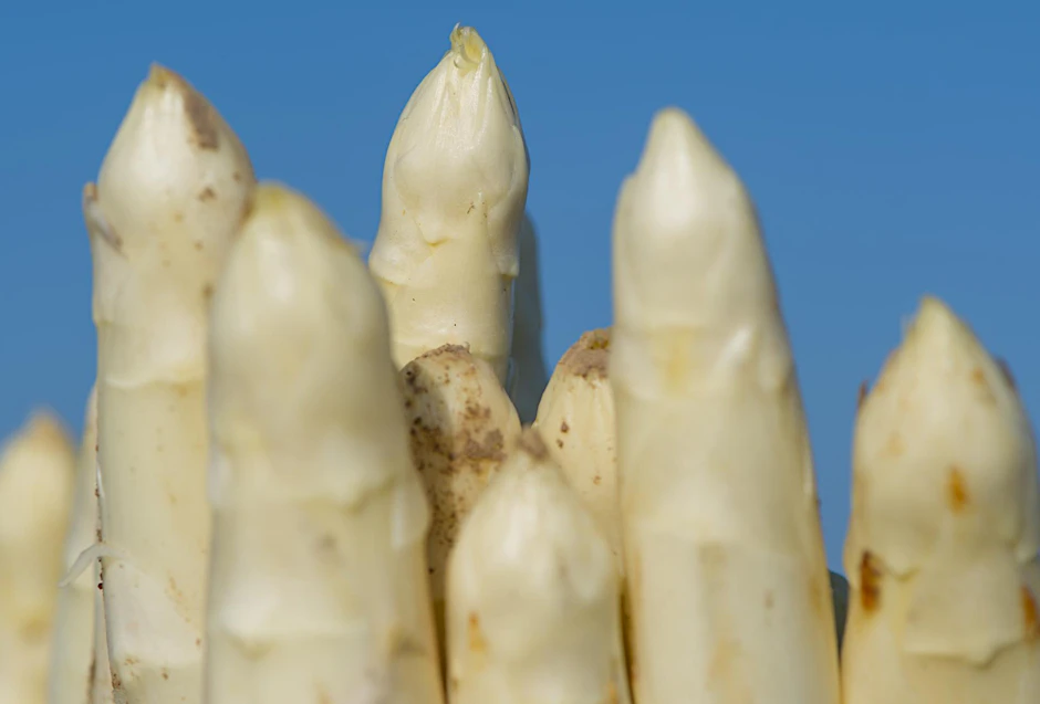 Spargel ist gesund und kalorienarm. 